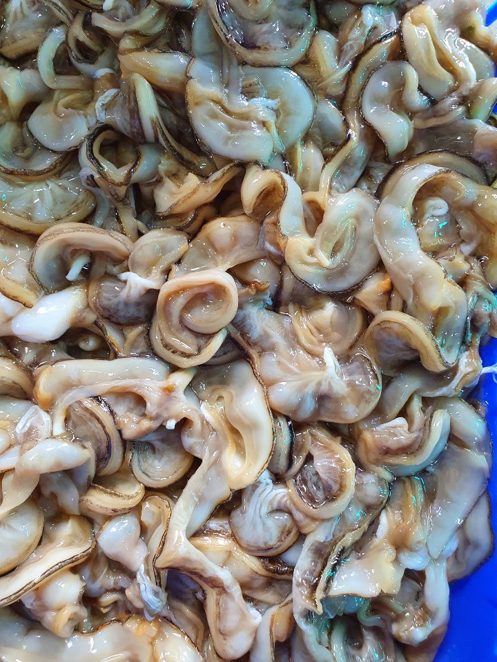 오씨네 수산