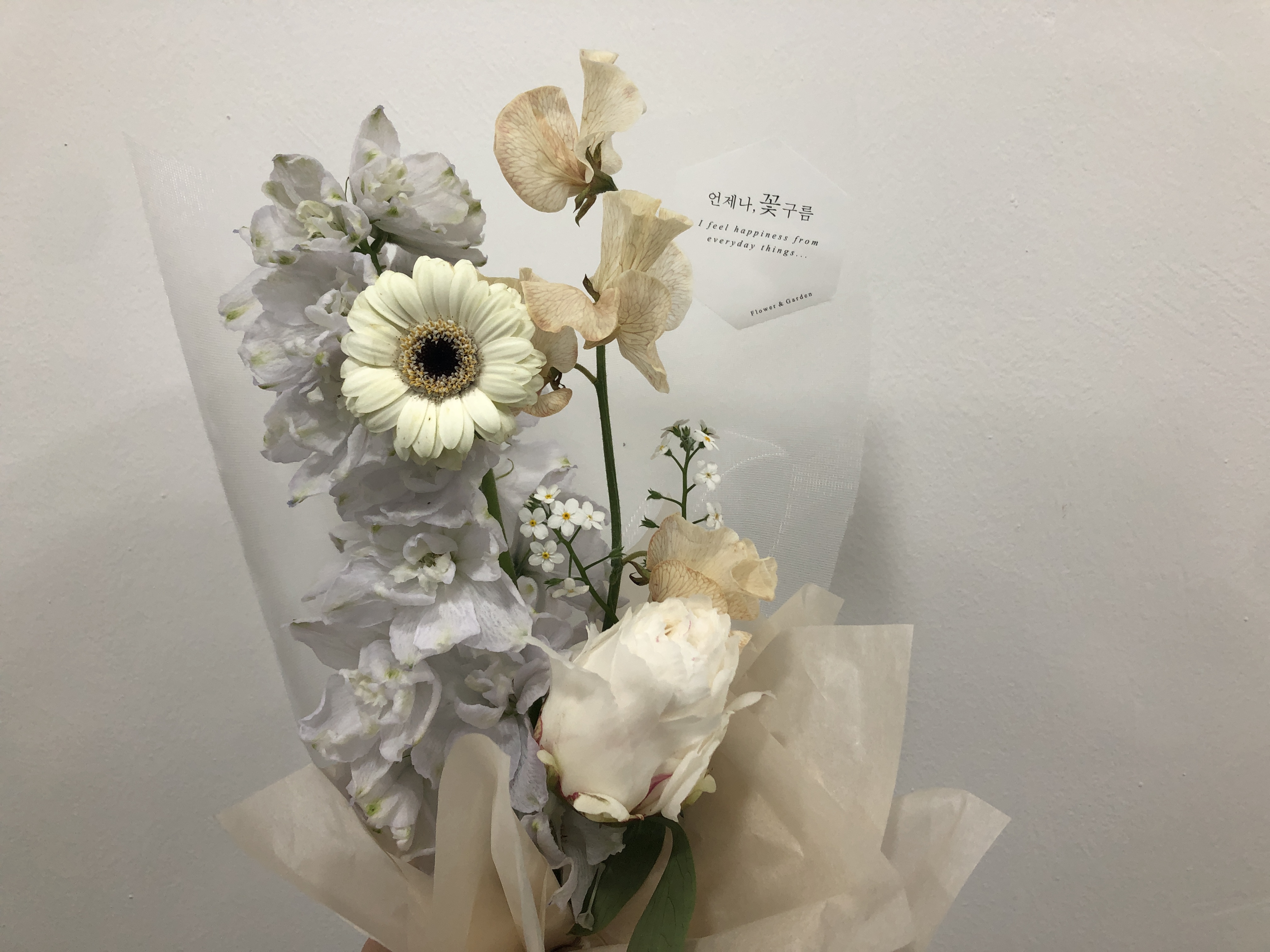 언제나꽃구름