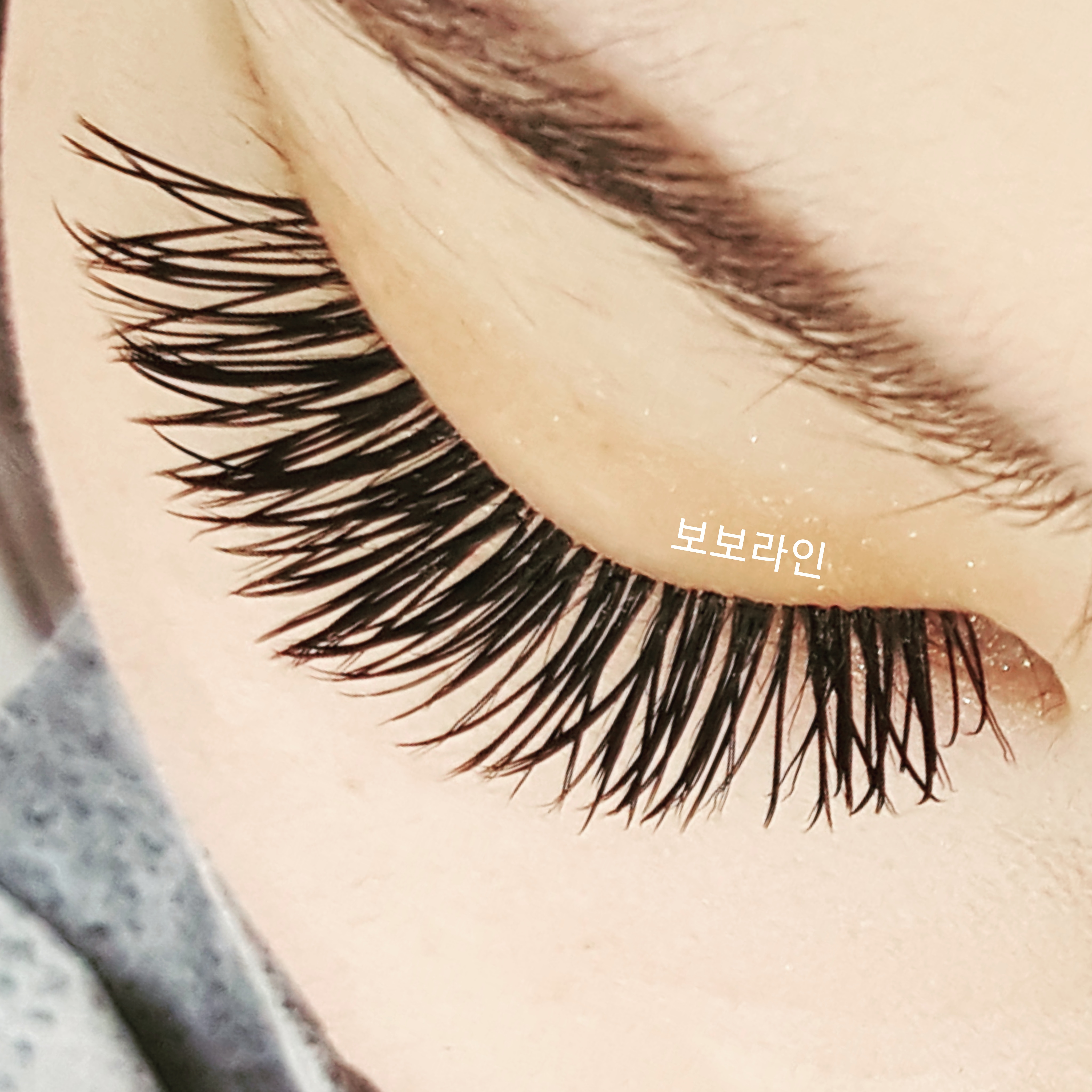 보보라인 대표 이미지