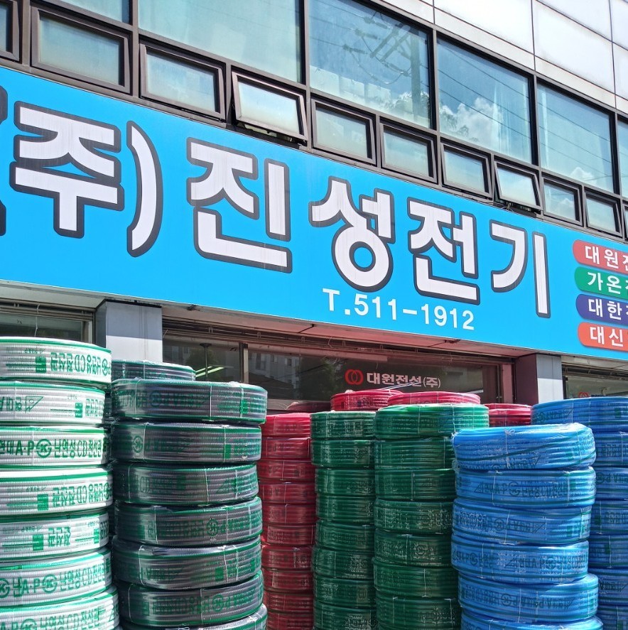 진성전기