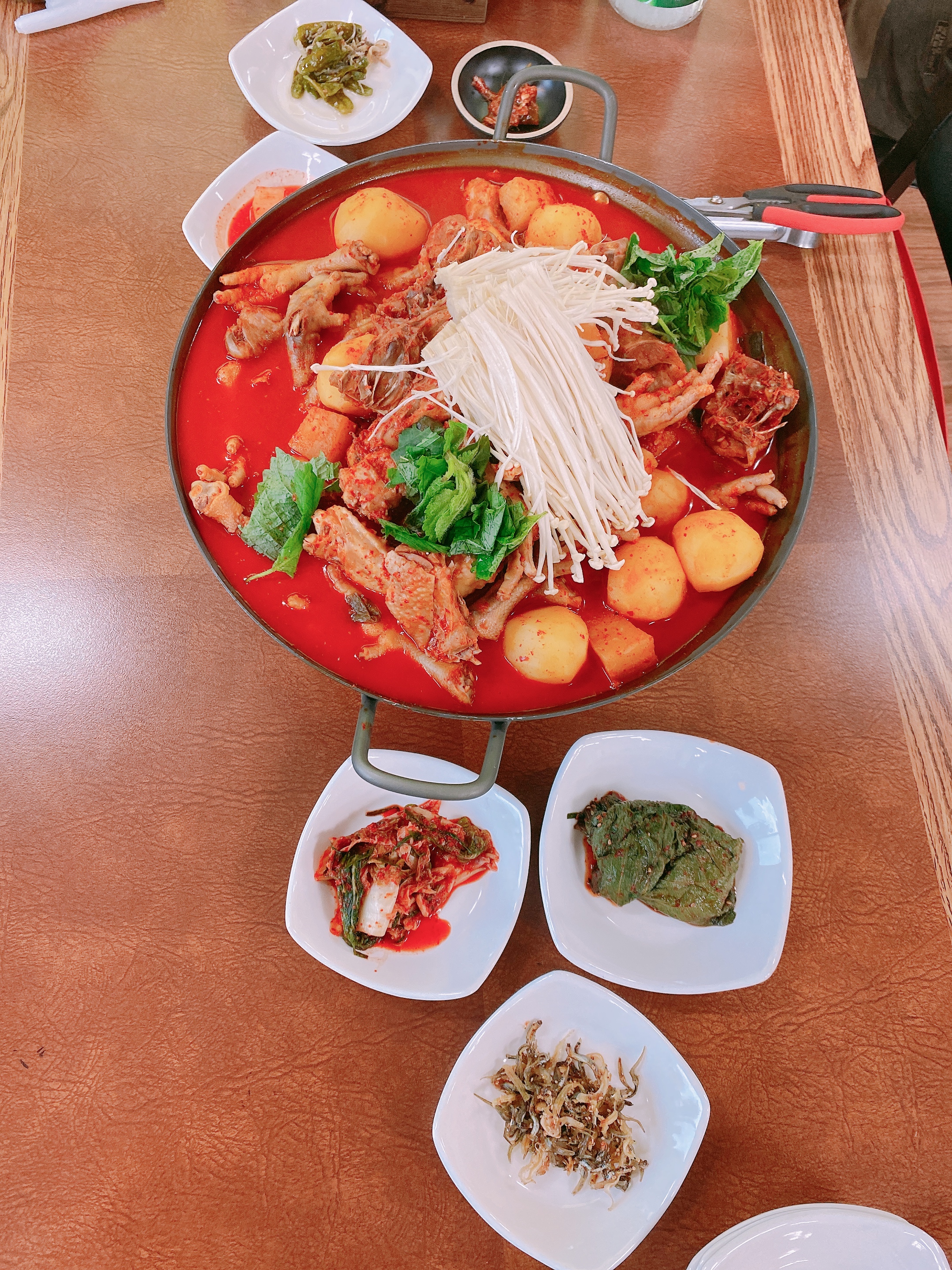 느티나무카페 전라 애견맛집