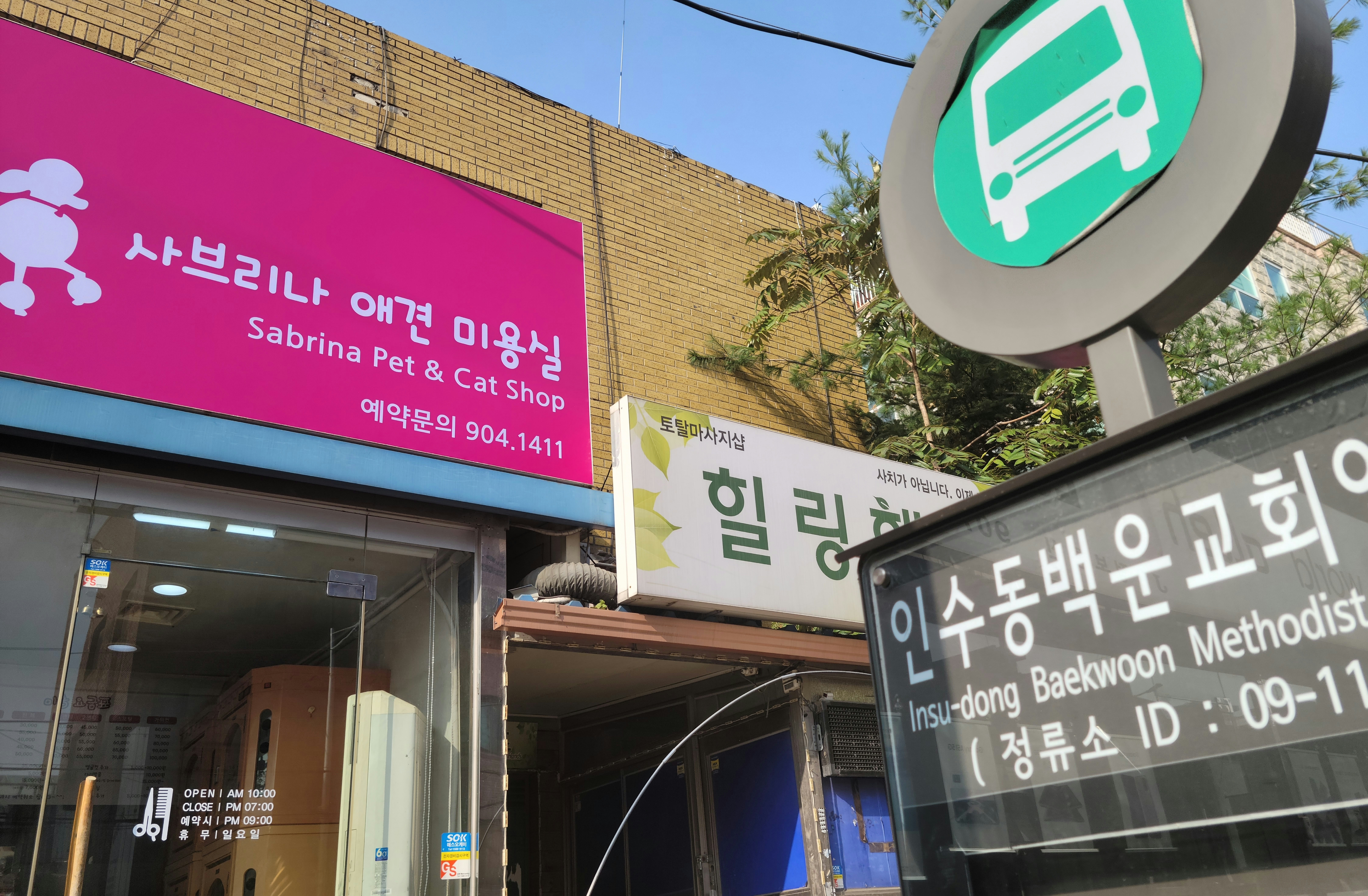 사브리나애견미용실 대표 이미지