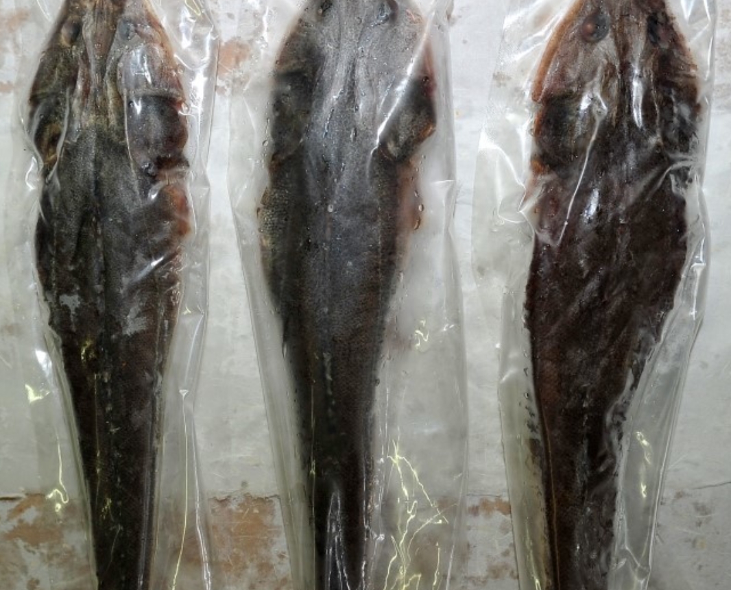 신미수산