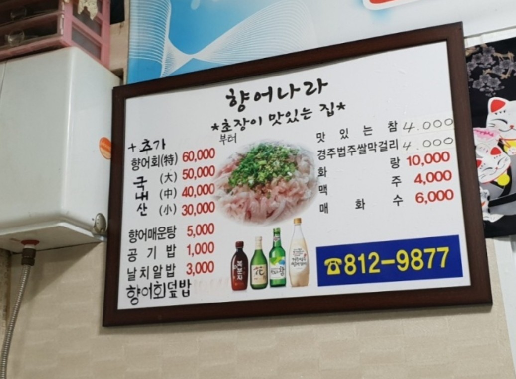 향어나라