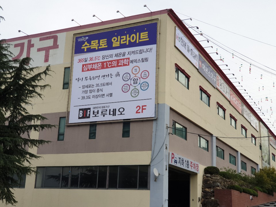 수목토일라이트