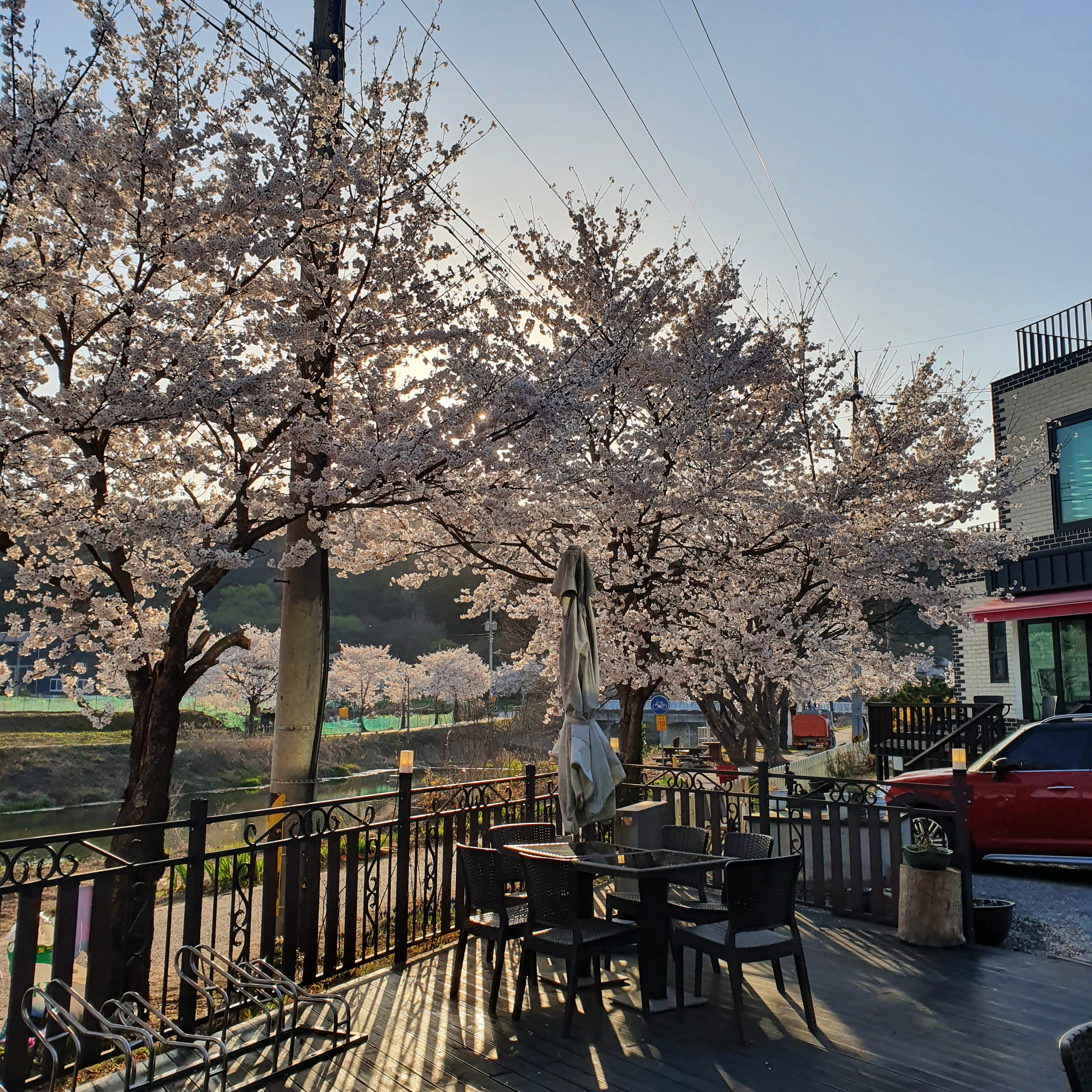 핀더스
