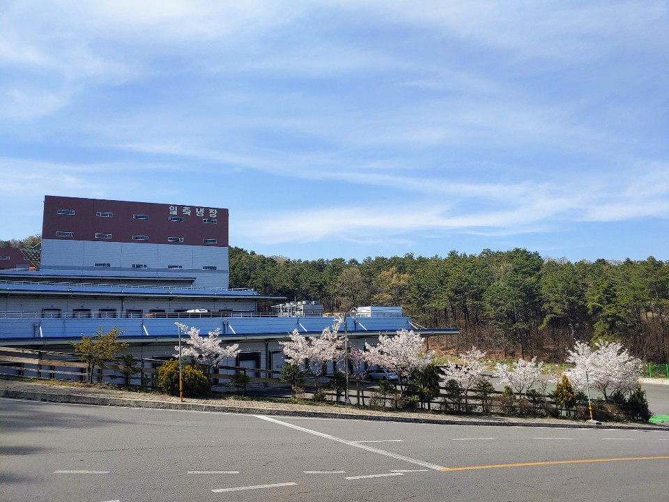 일죽냉장