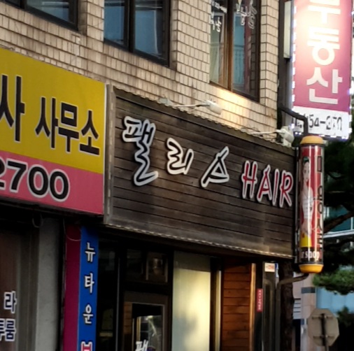 팰리스 헤어