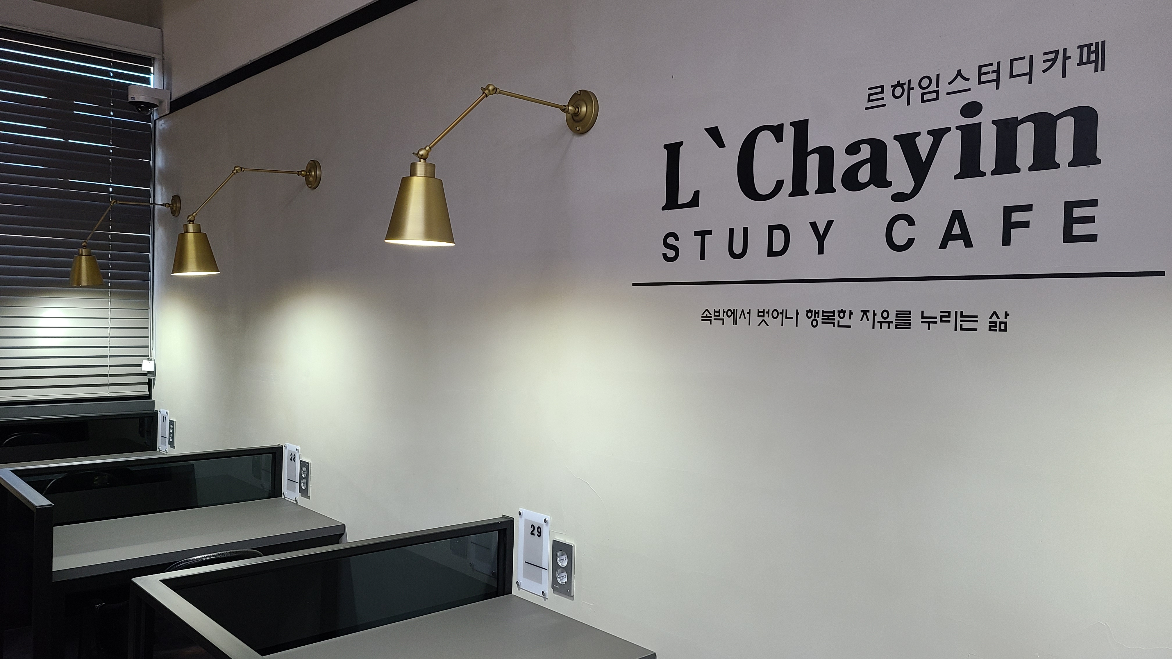 업체사진