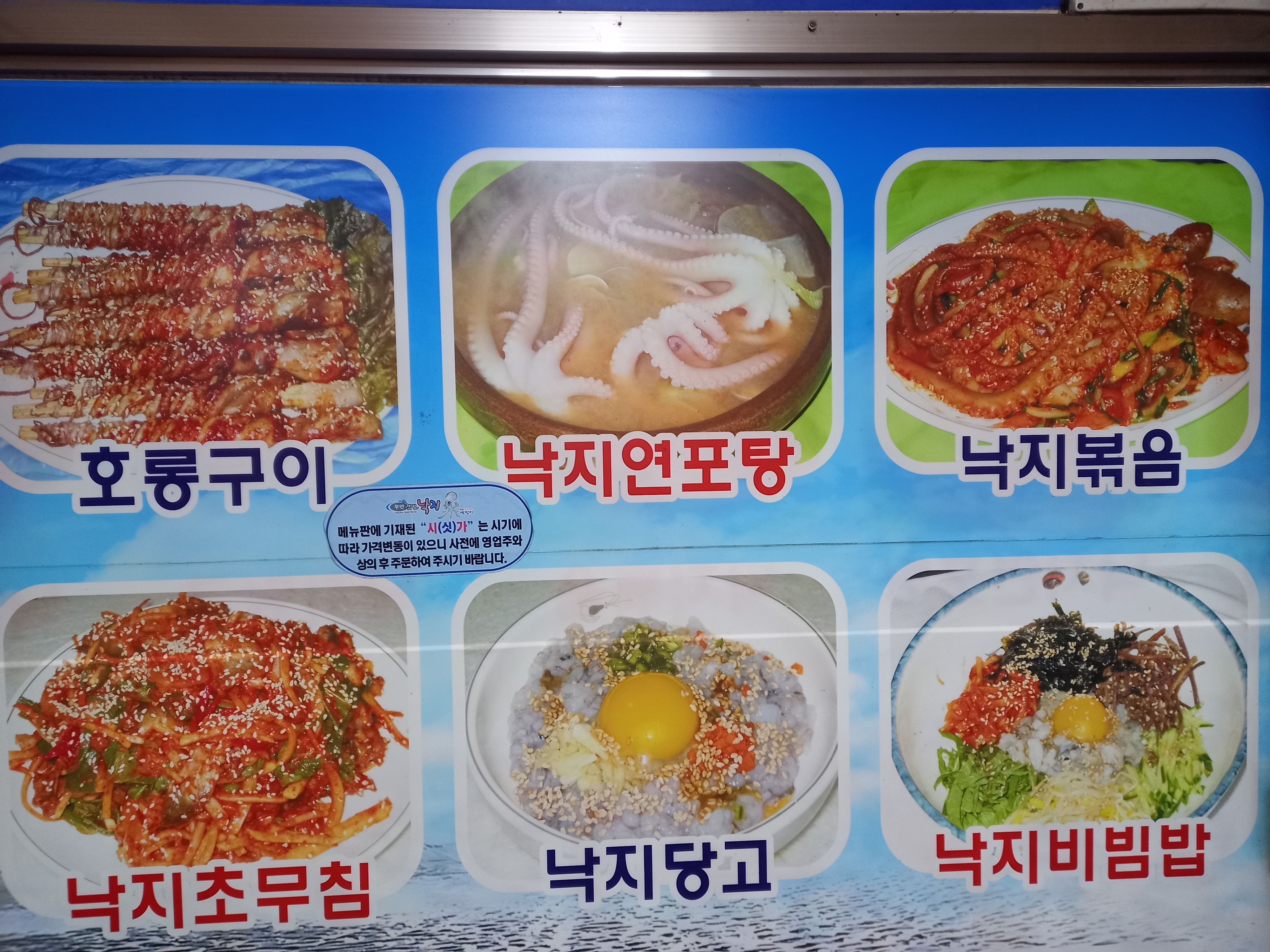 세종와촌숯숯 반려동물 동반 애견카페