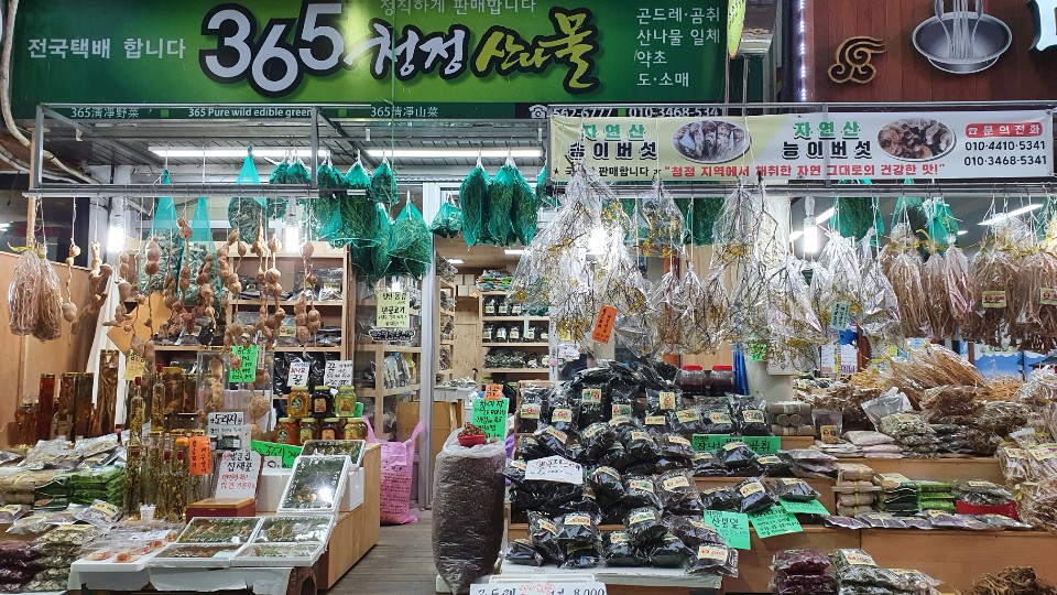 365산나물