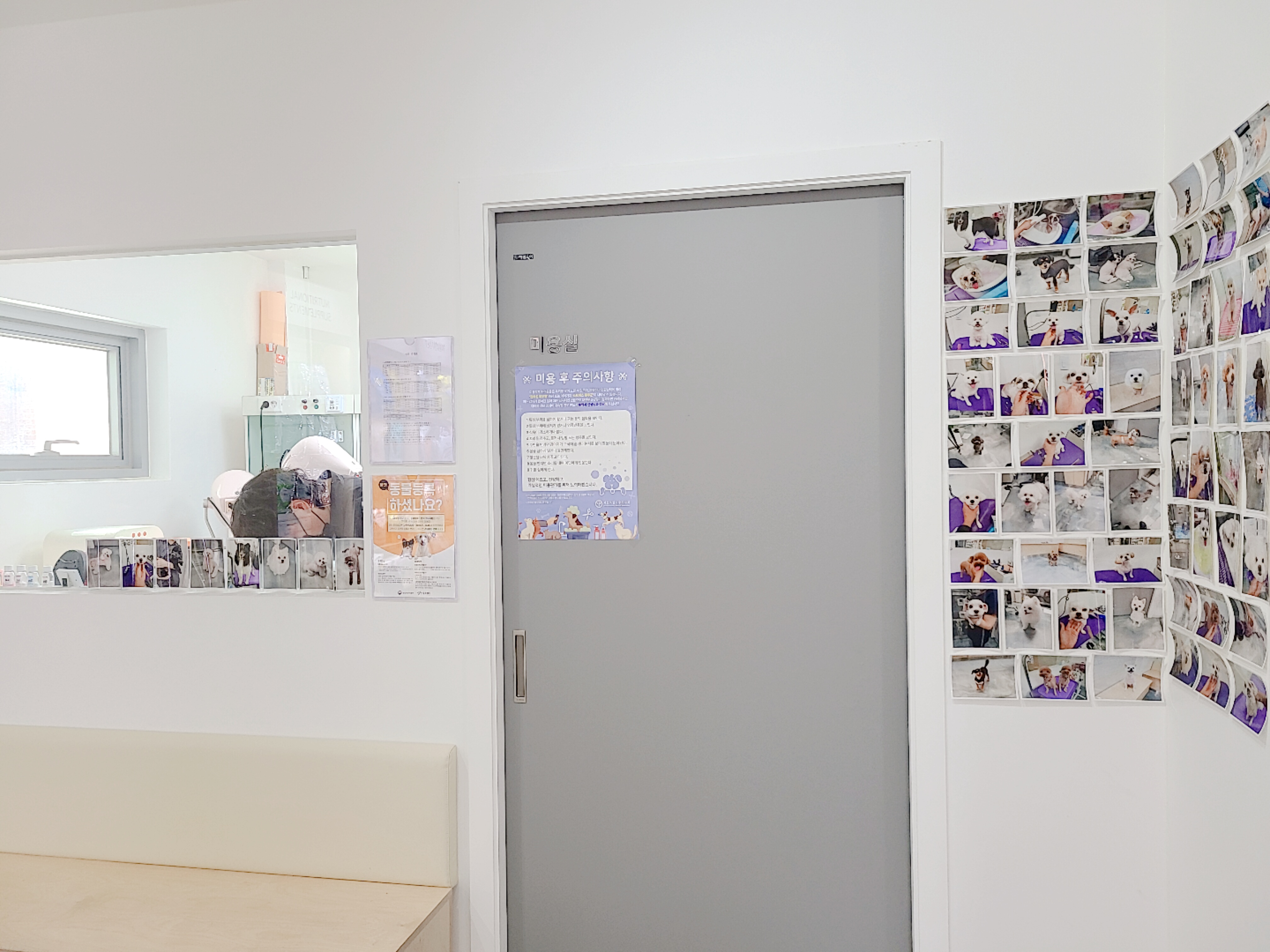 라온펫동물병원 대표 이미지