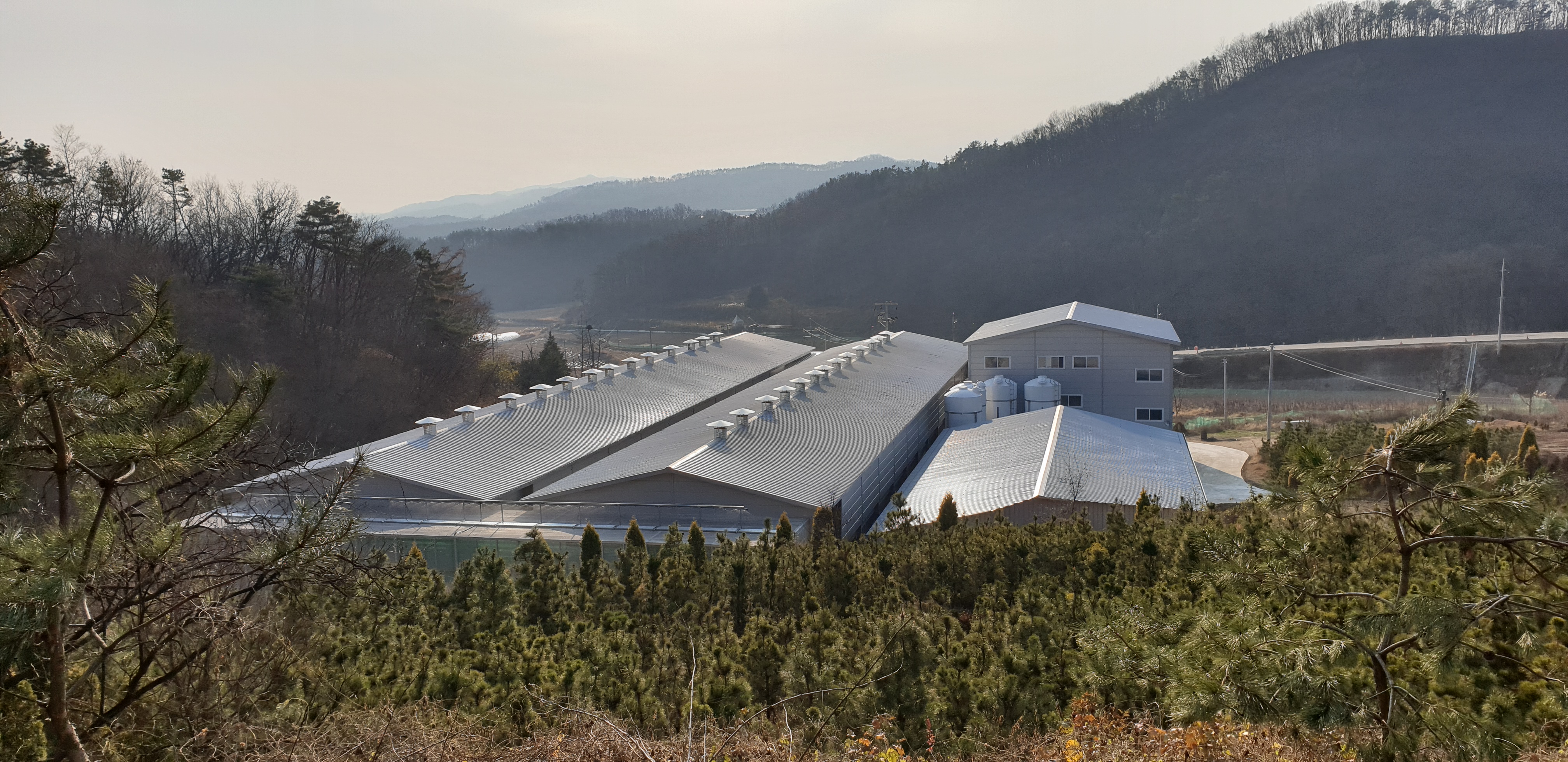 상문농장
