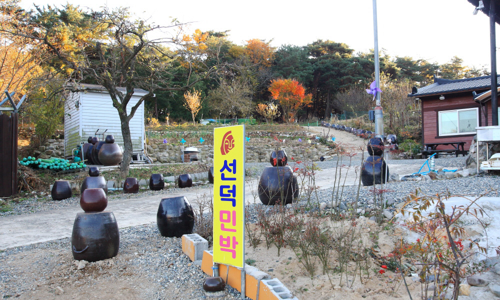선덕민박