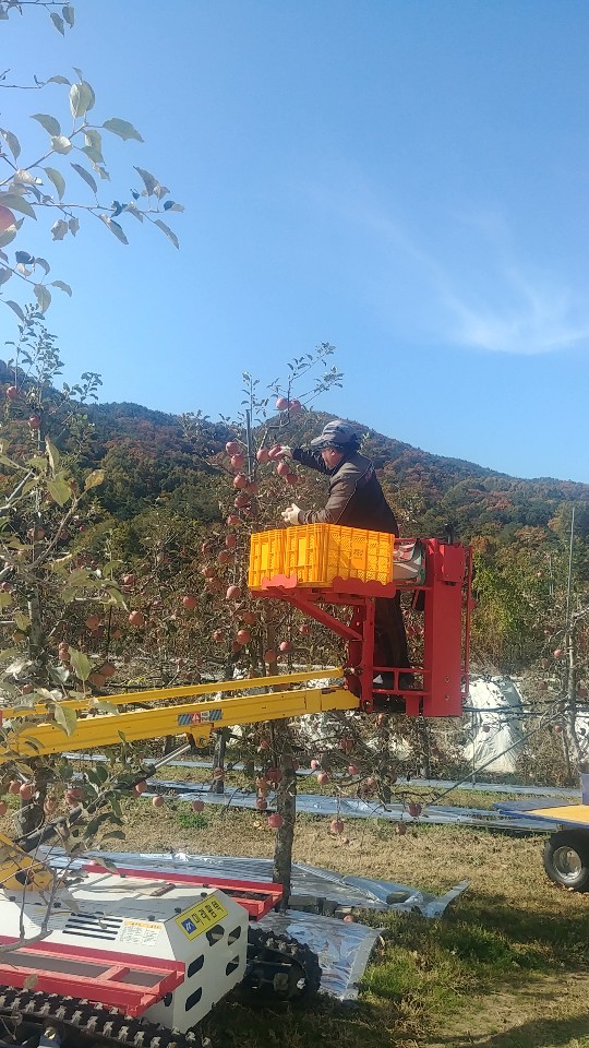 애플커피 3