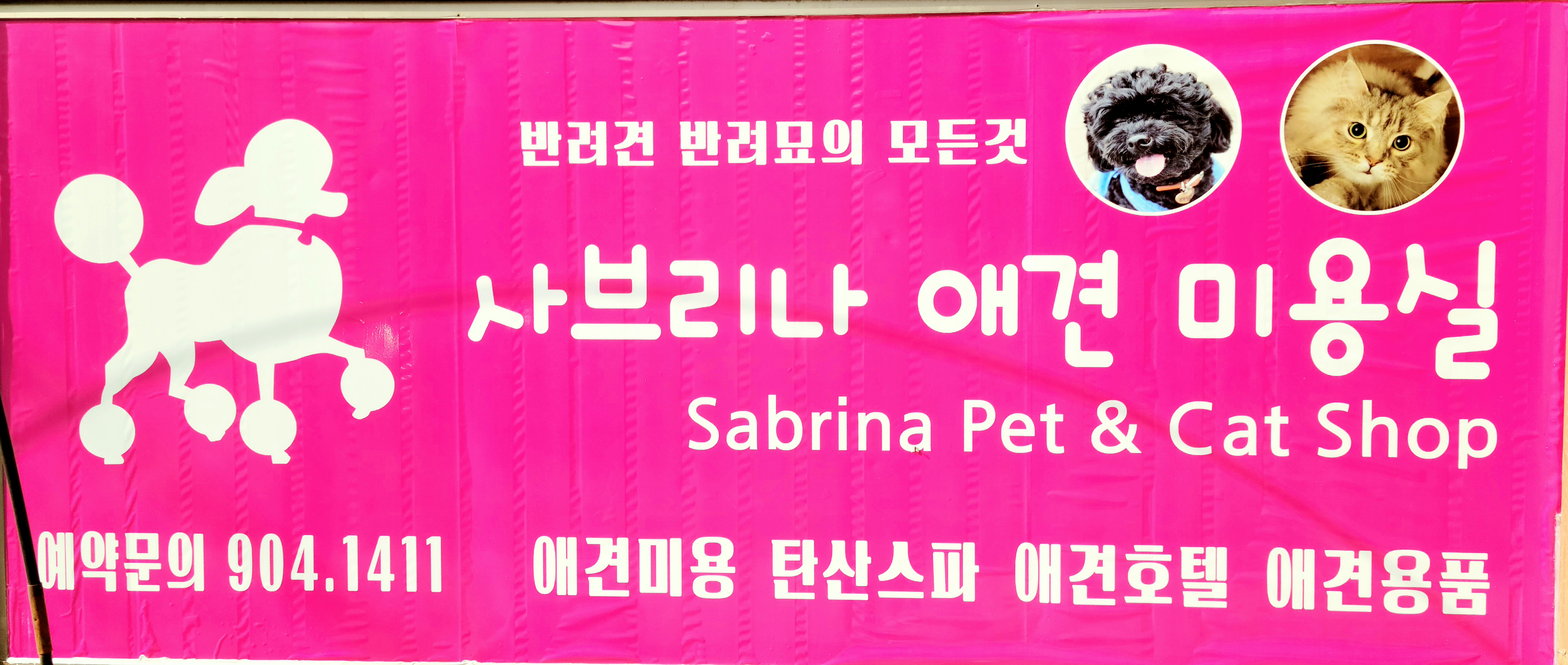 사브리나애견미용실 대표 이미지