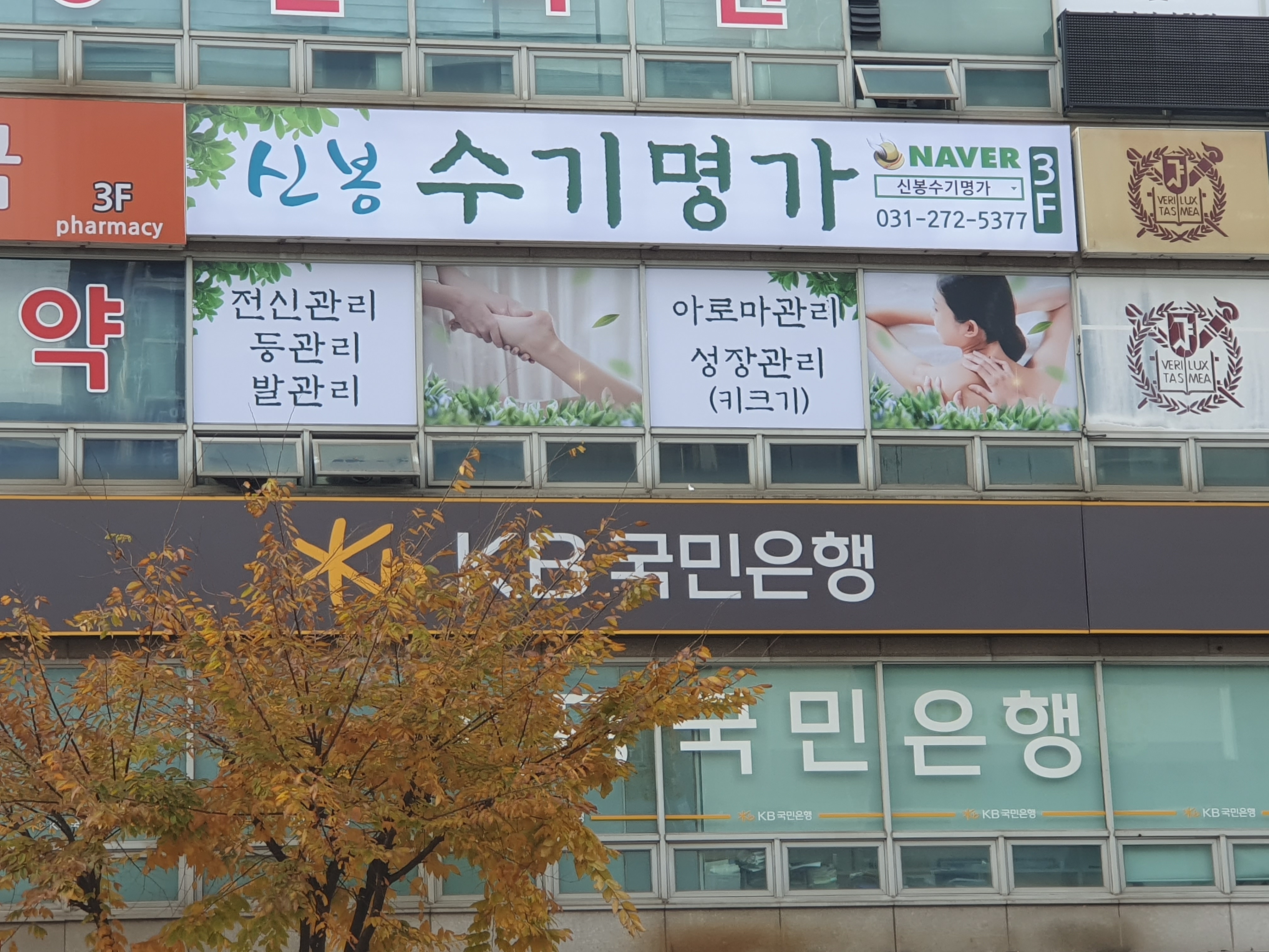 신봉수기명가