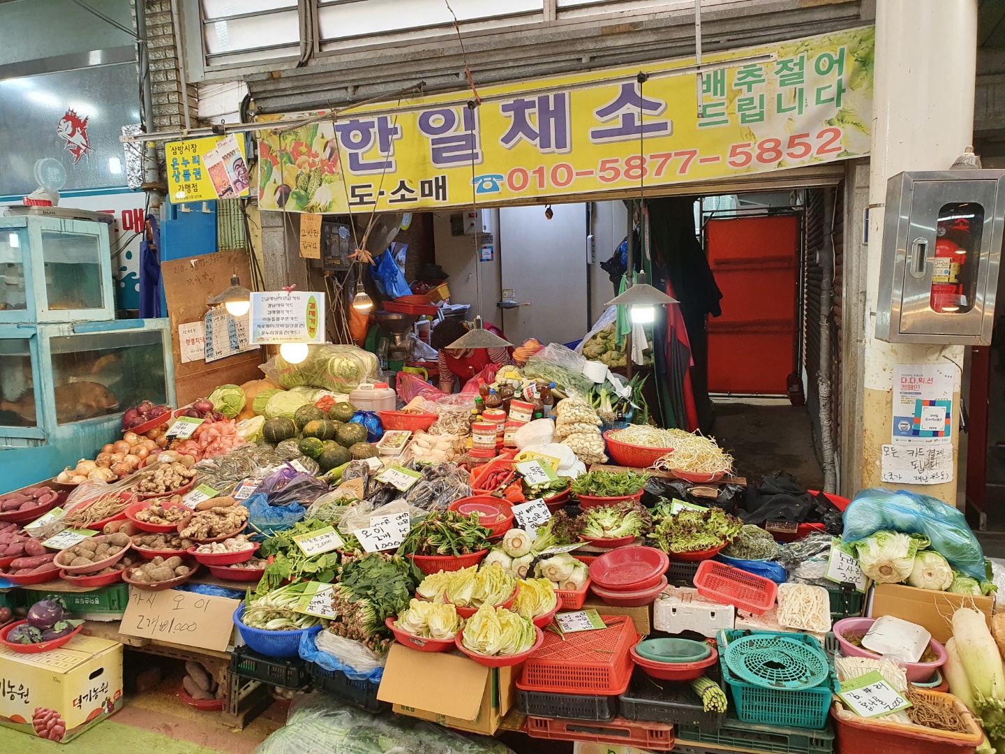 한일채소