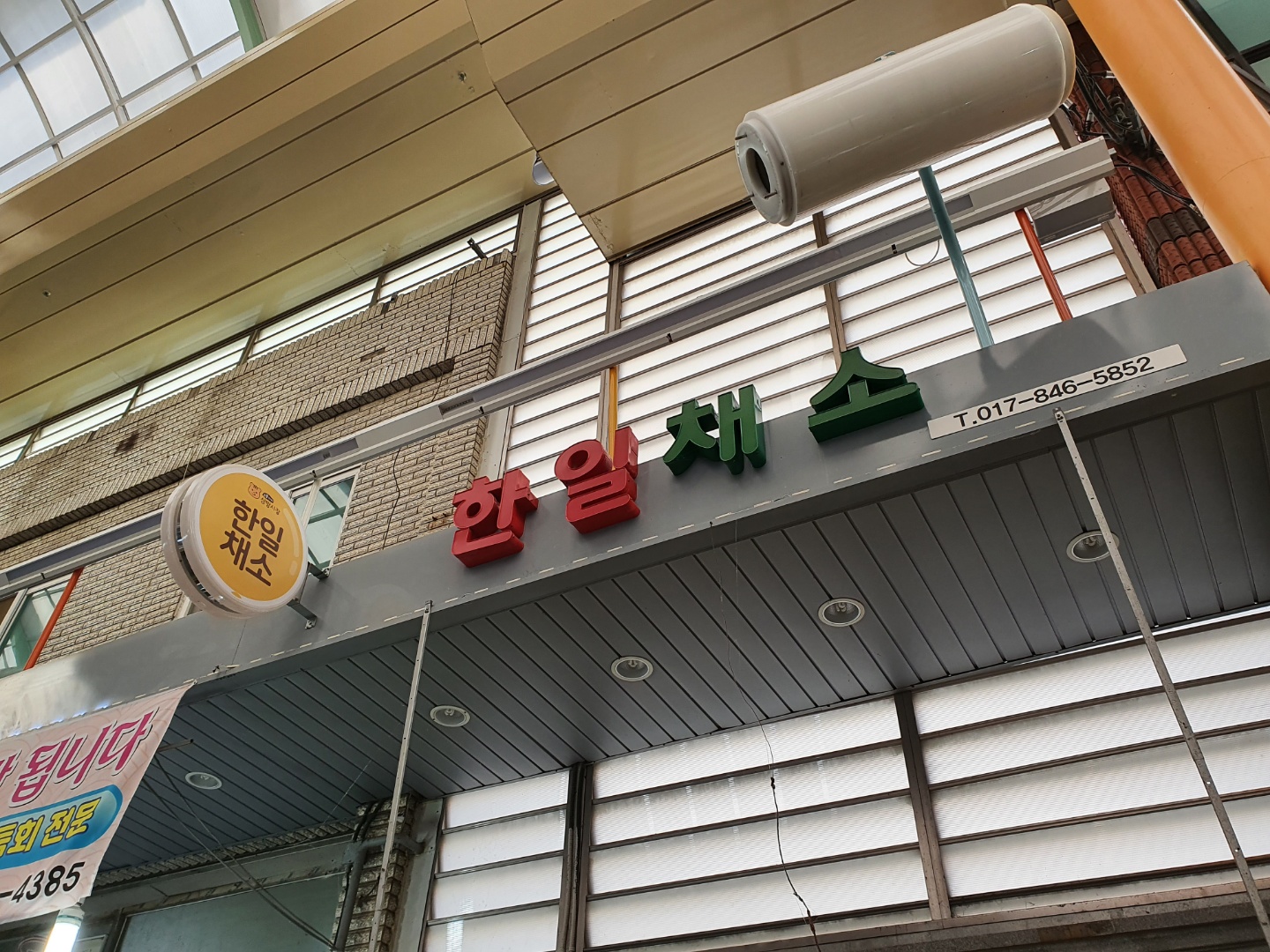 한일채소