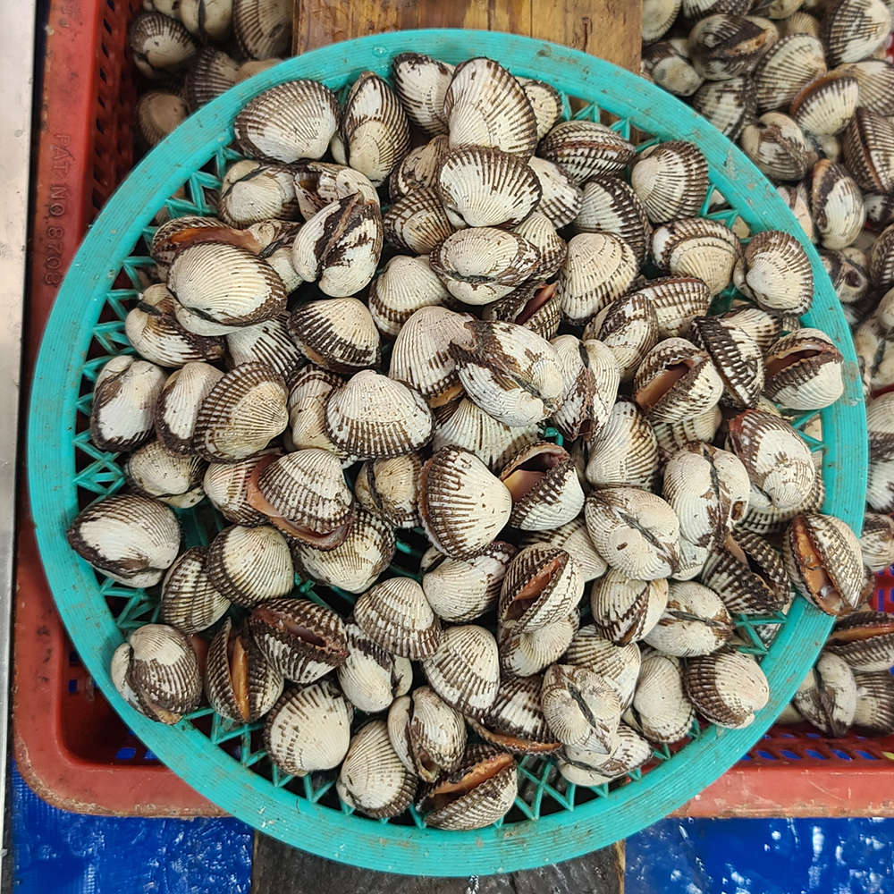 중앙수산