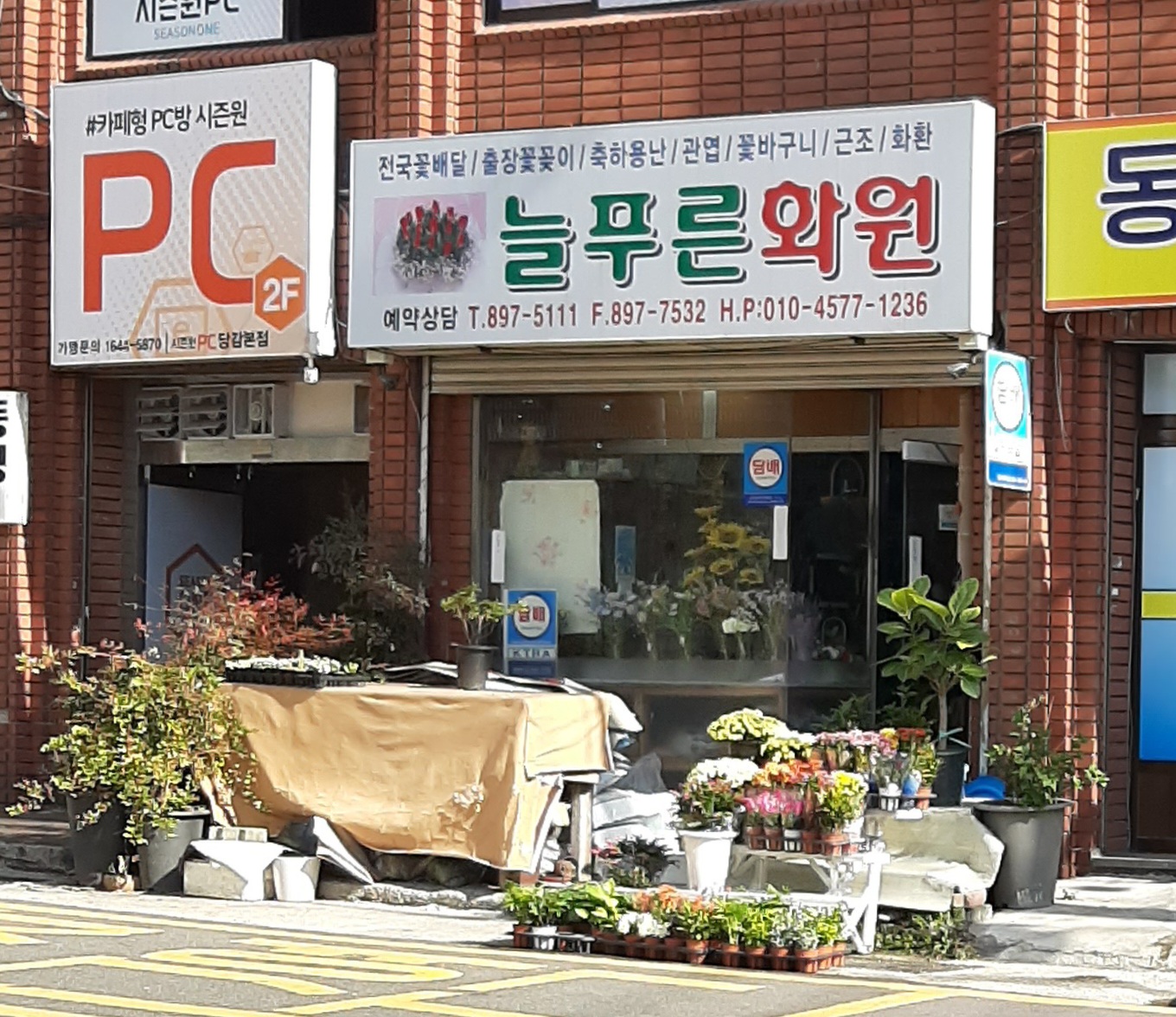 늘푸른화원