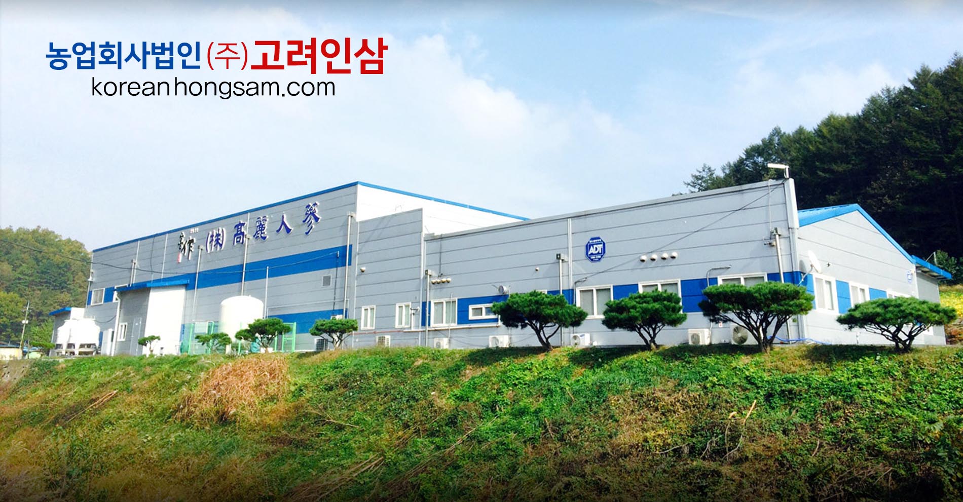 농업회사법인고려인삼