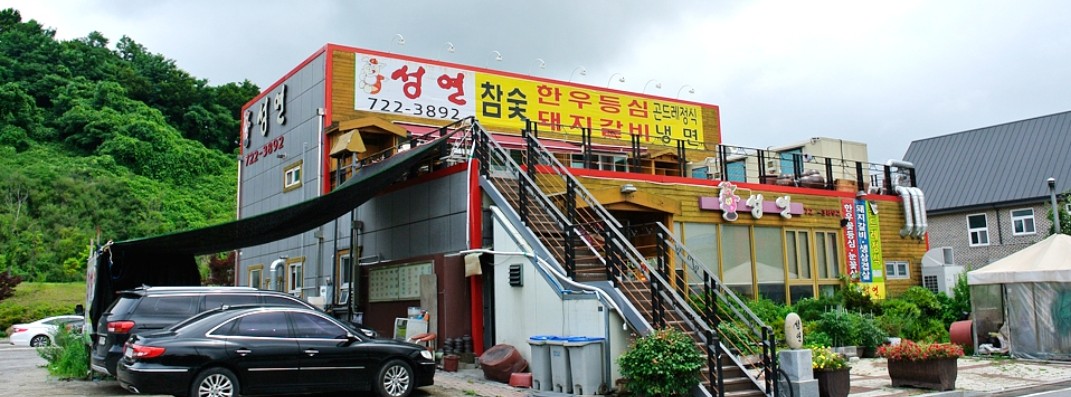 성연