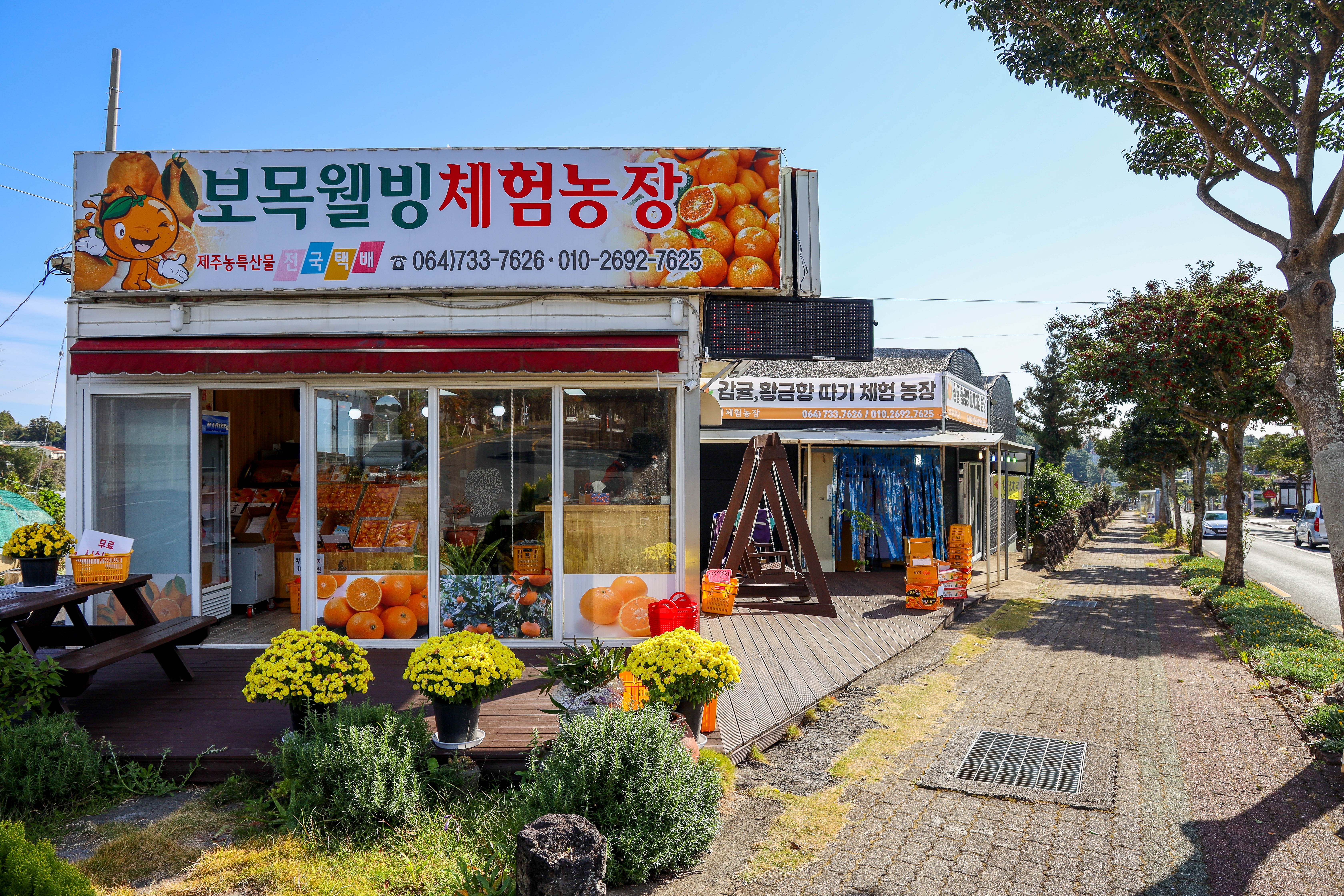 보목웰빙농장