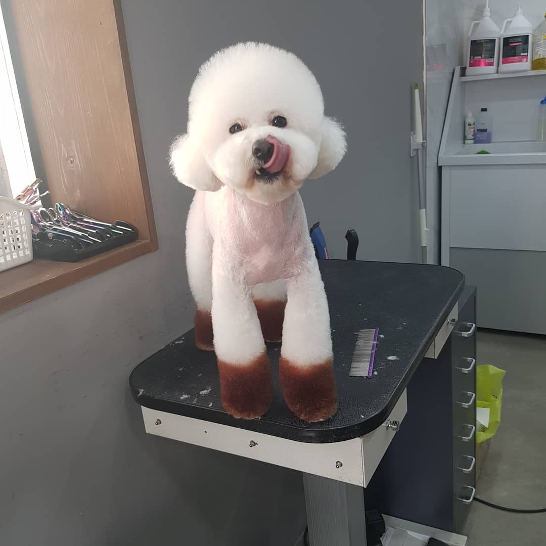 몽블리 대표 이미지