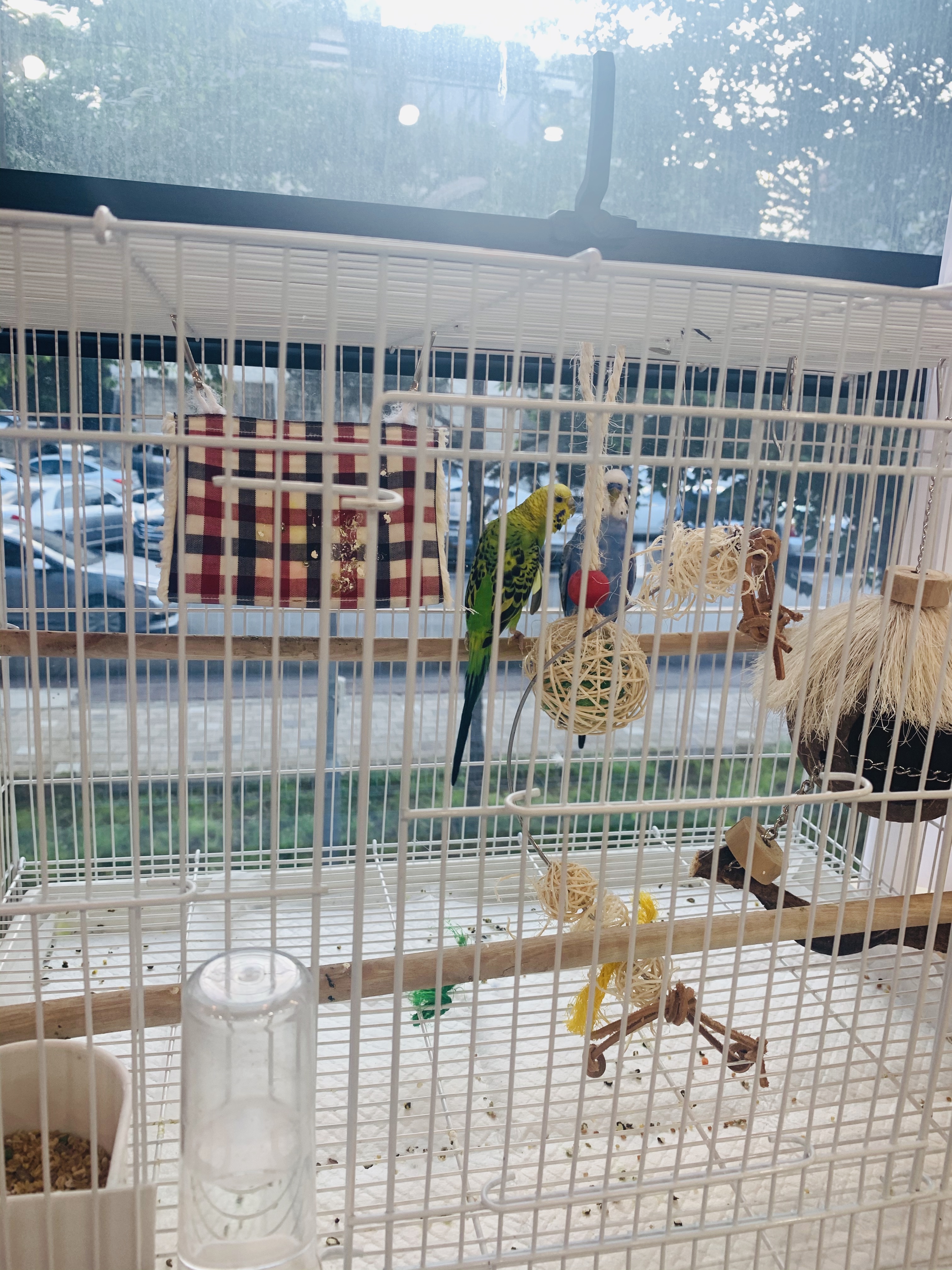 이층헤어 대표 이미지