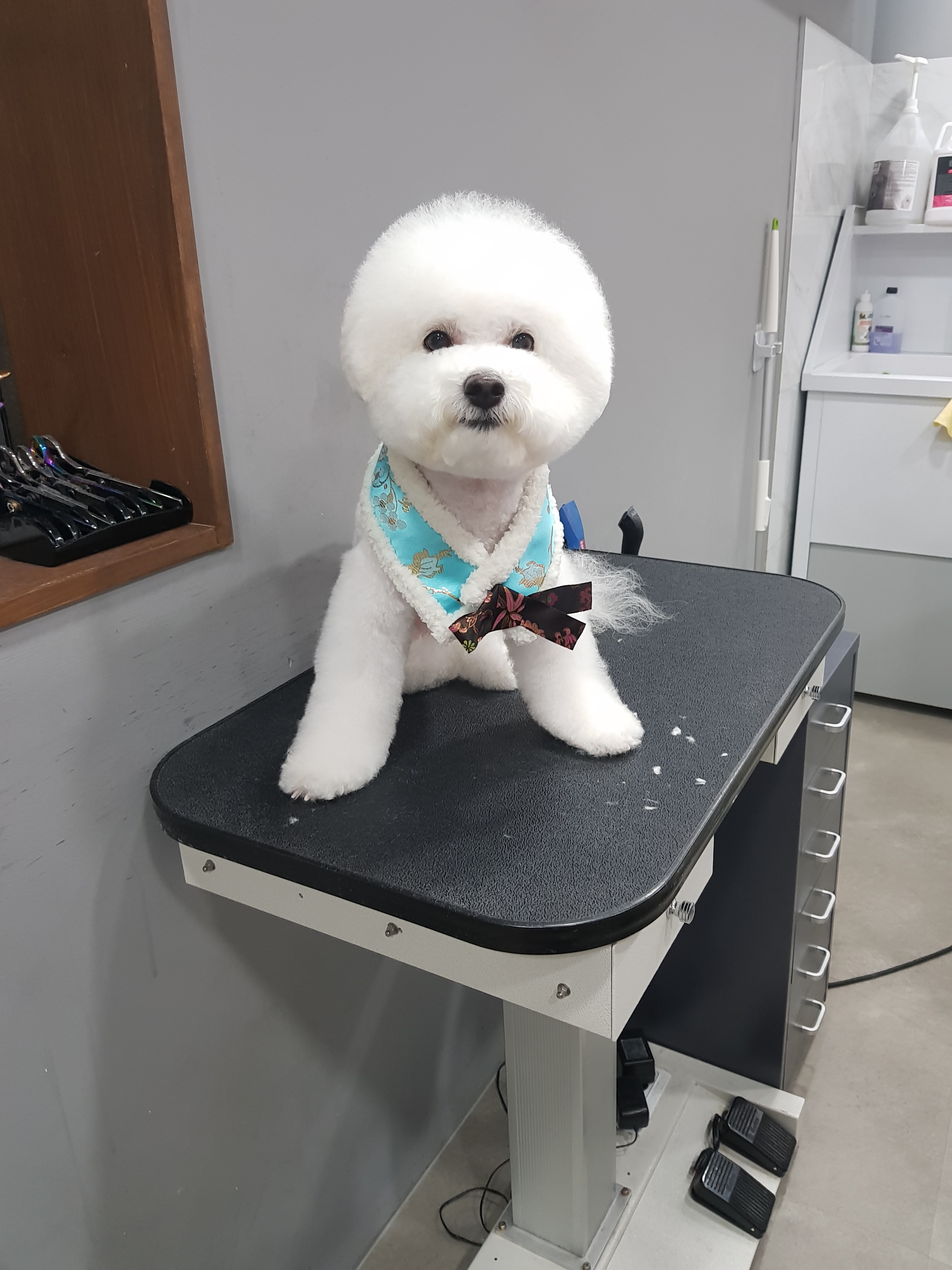 몽블리 대표 이미지