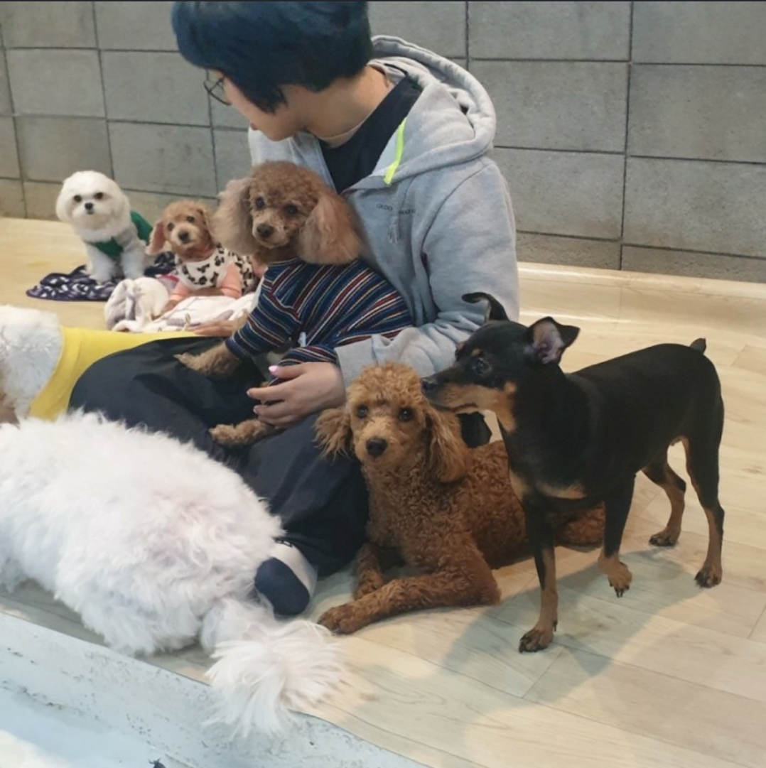 이미지