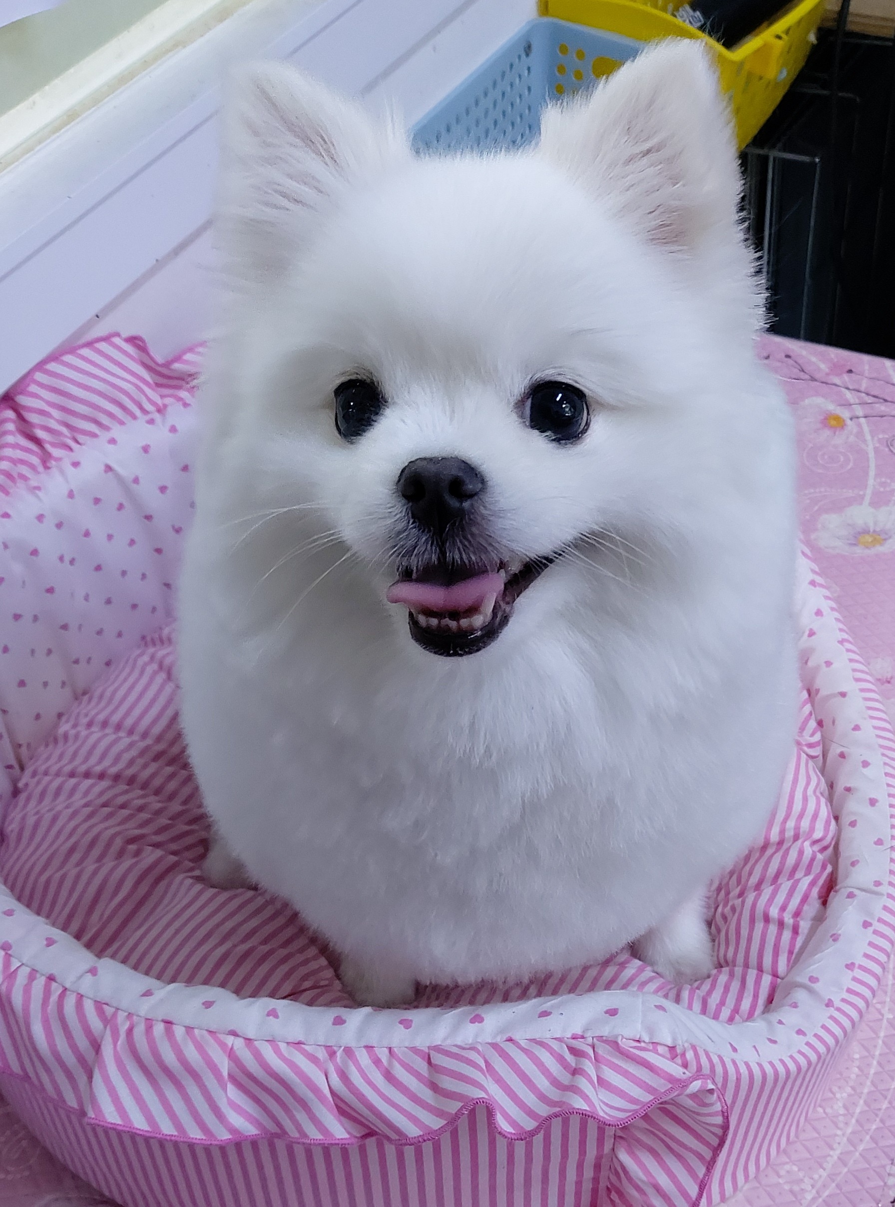 이미지