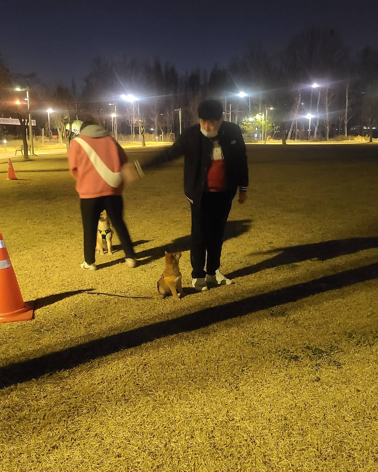 개들의왕국 대표 이미지