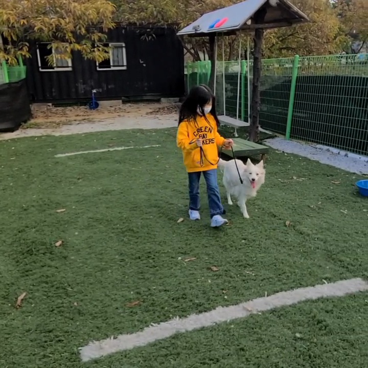 개들의왕국 대표 이미지