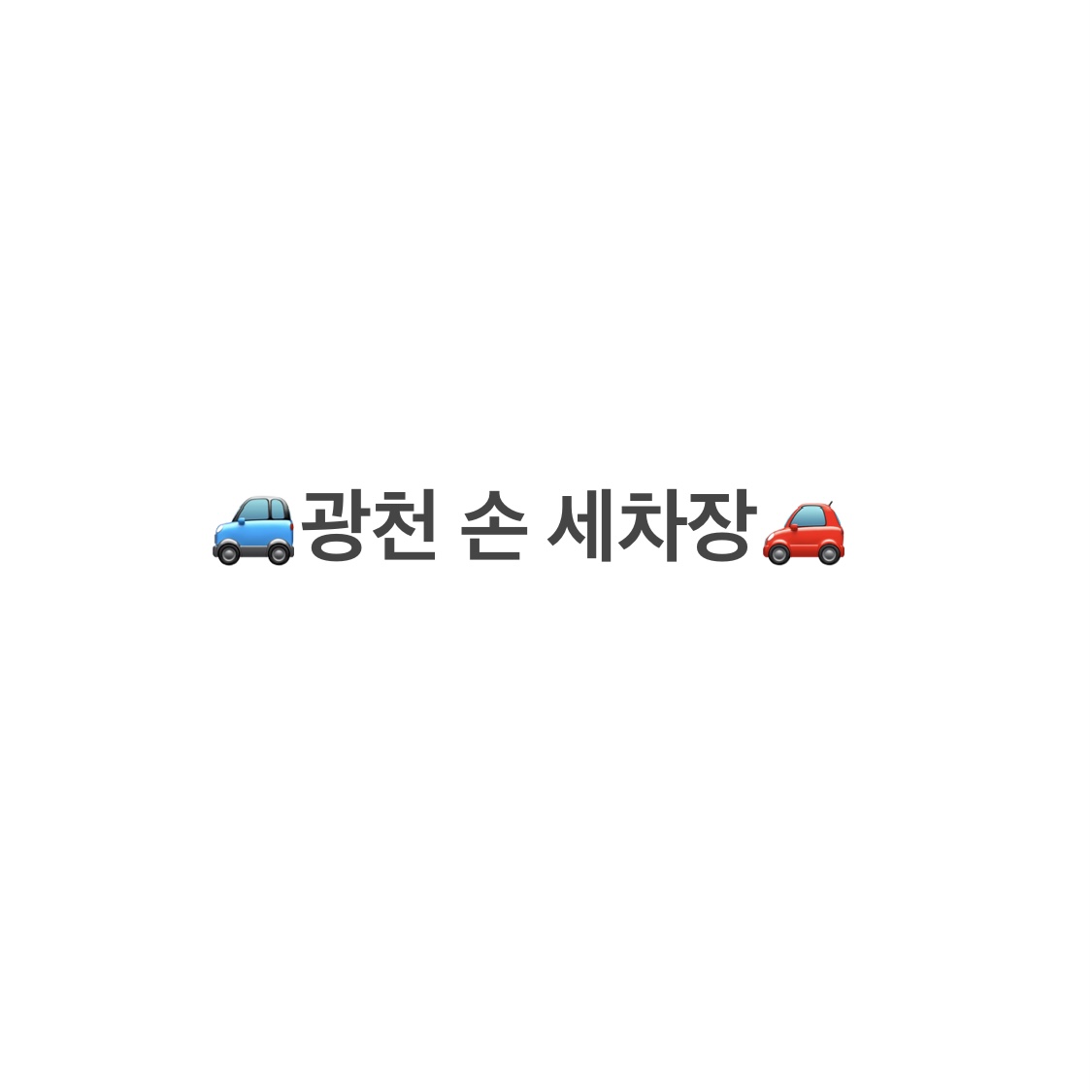 광천손세차장