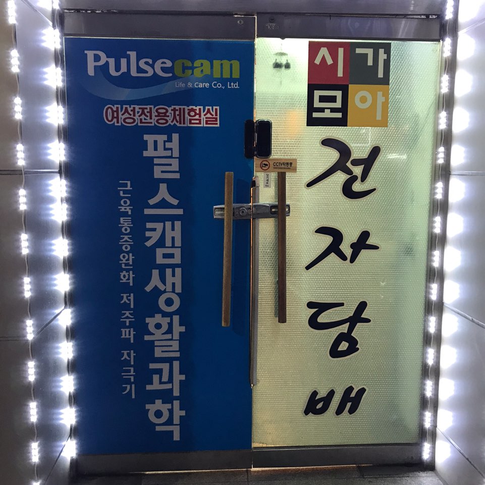펄스캠 생활과학