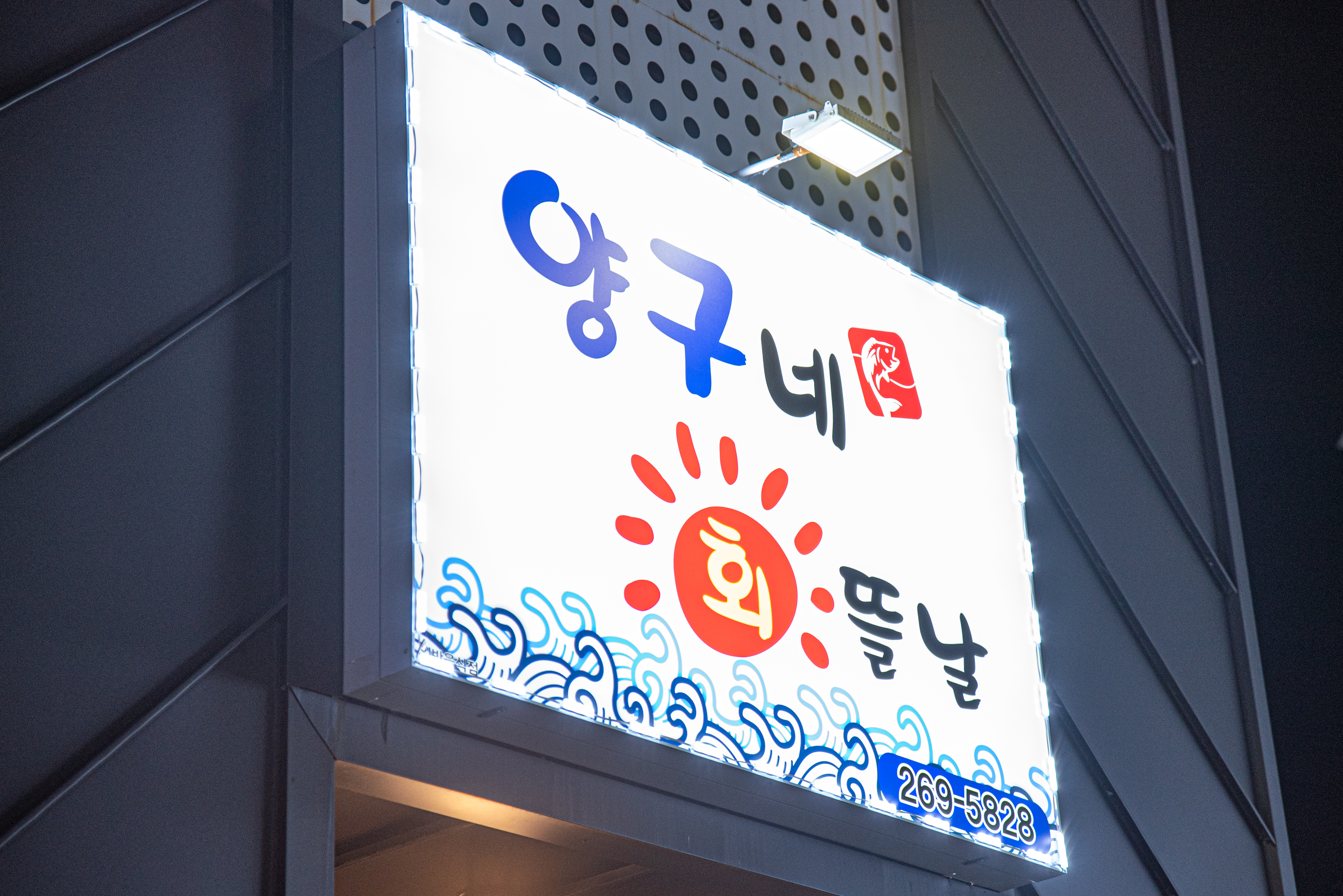 양구네회뜰날