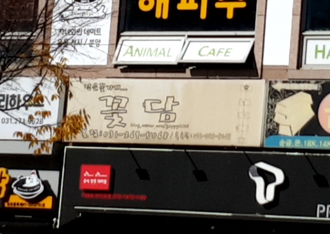 꽃담