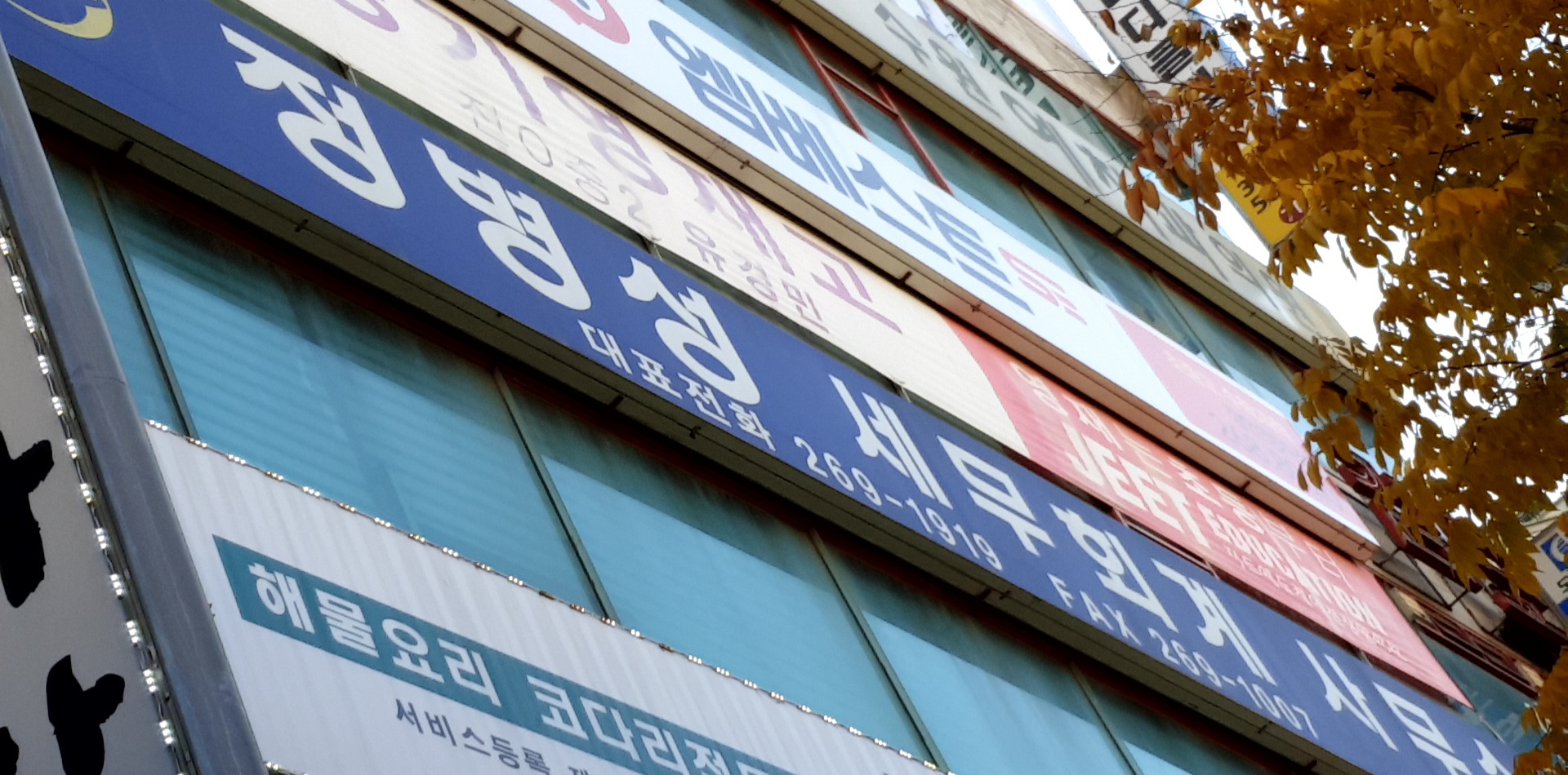 정병성 세무회계사무소 대표 이미지