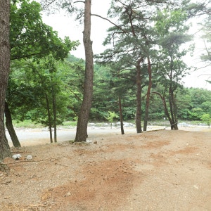 산들내캠핑장