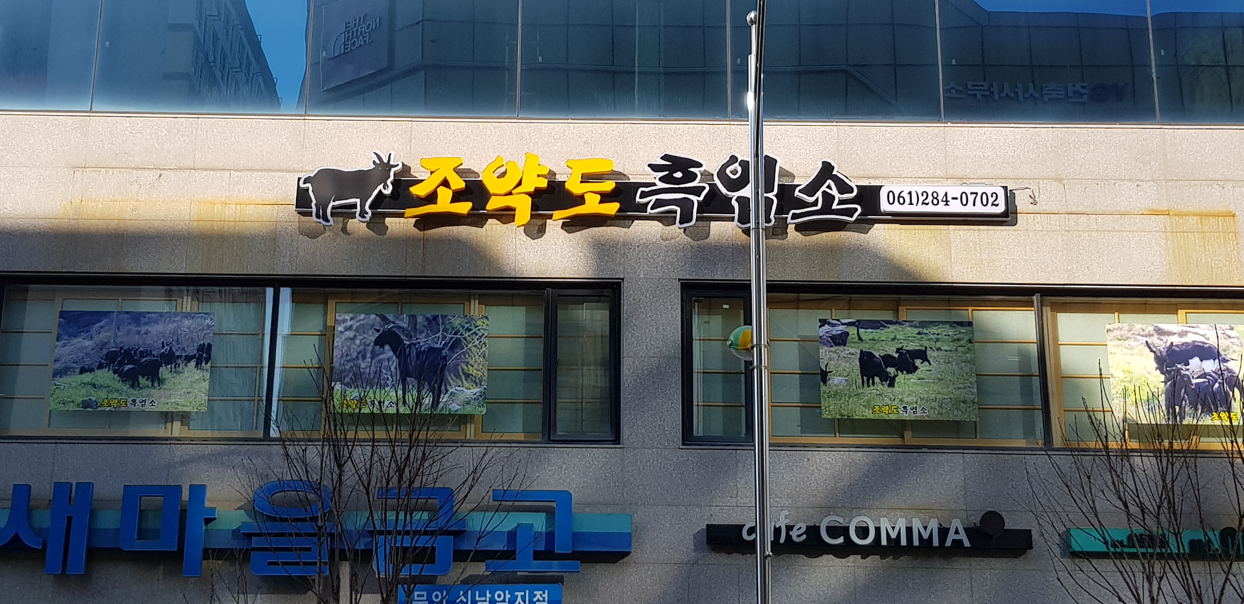 조약도흑염소