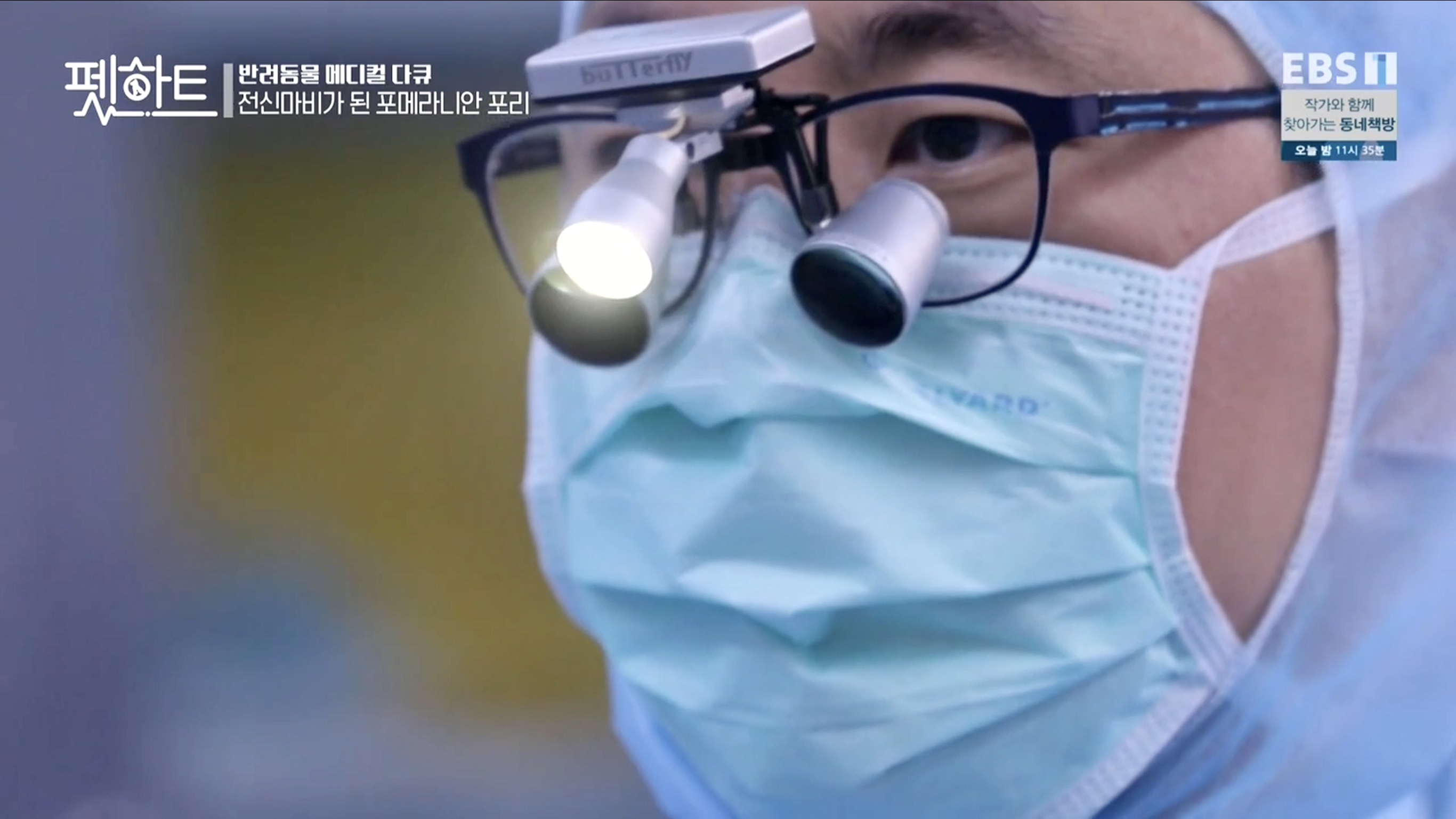 오아시스동물병원 대표 이미지