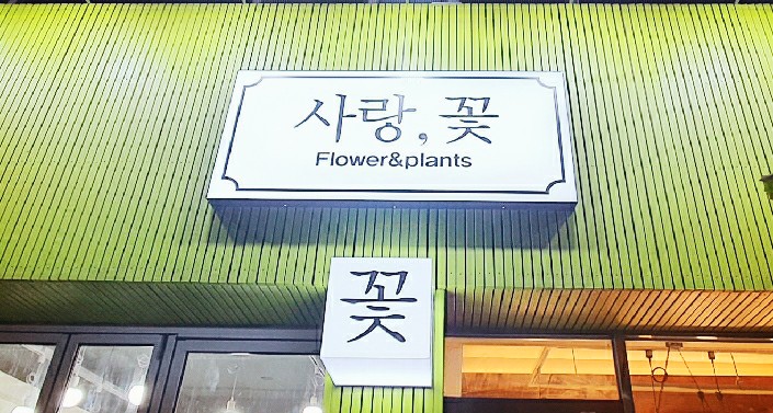 사랑꽃