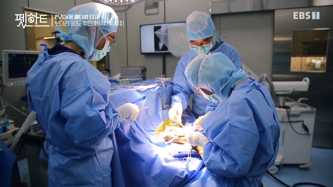 오아시스정형외과신경외과동물병원 대표 이미지