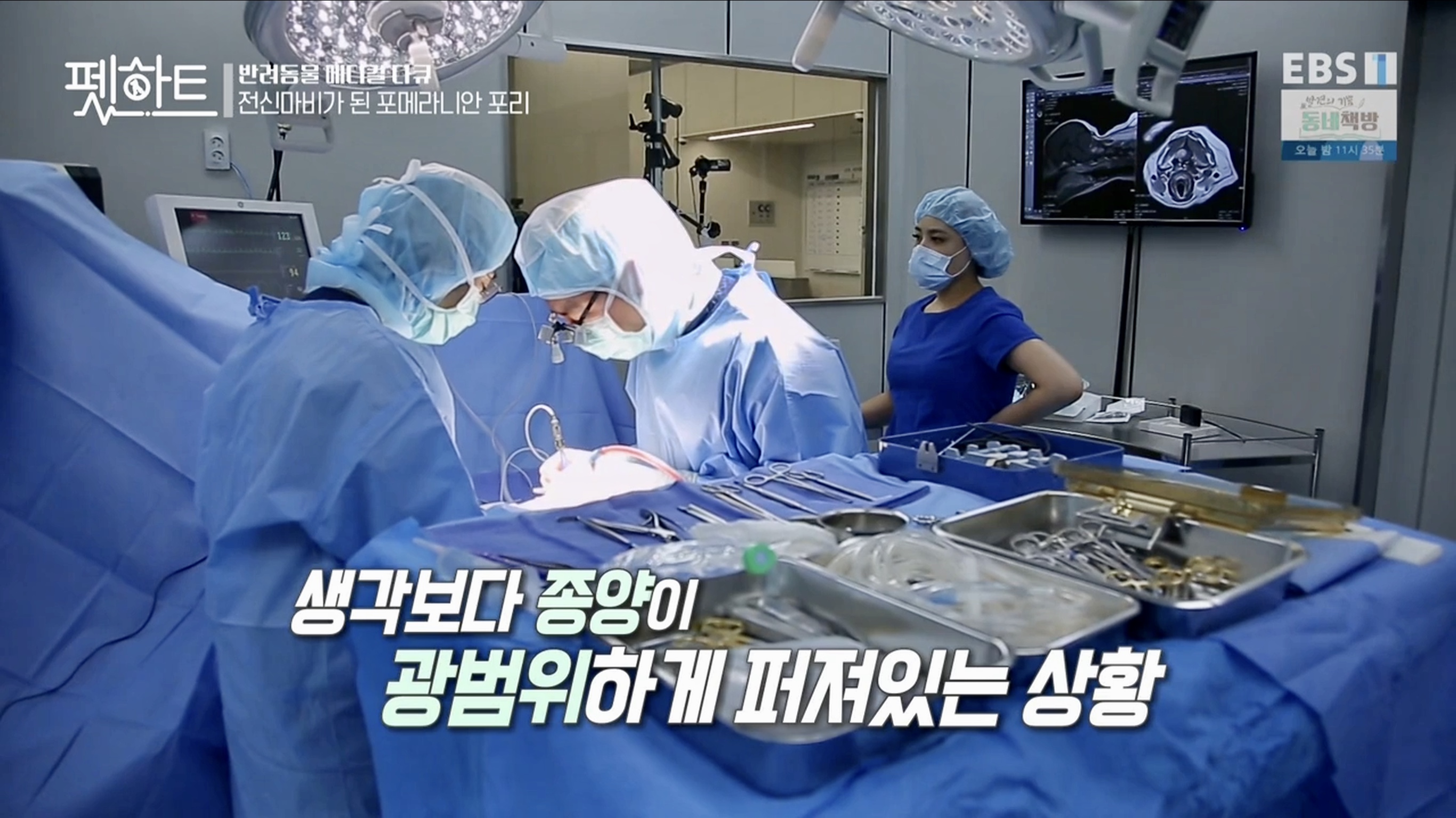 오아시스동물병원 대표 이미지