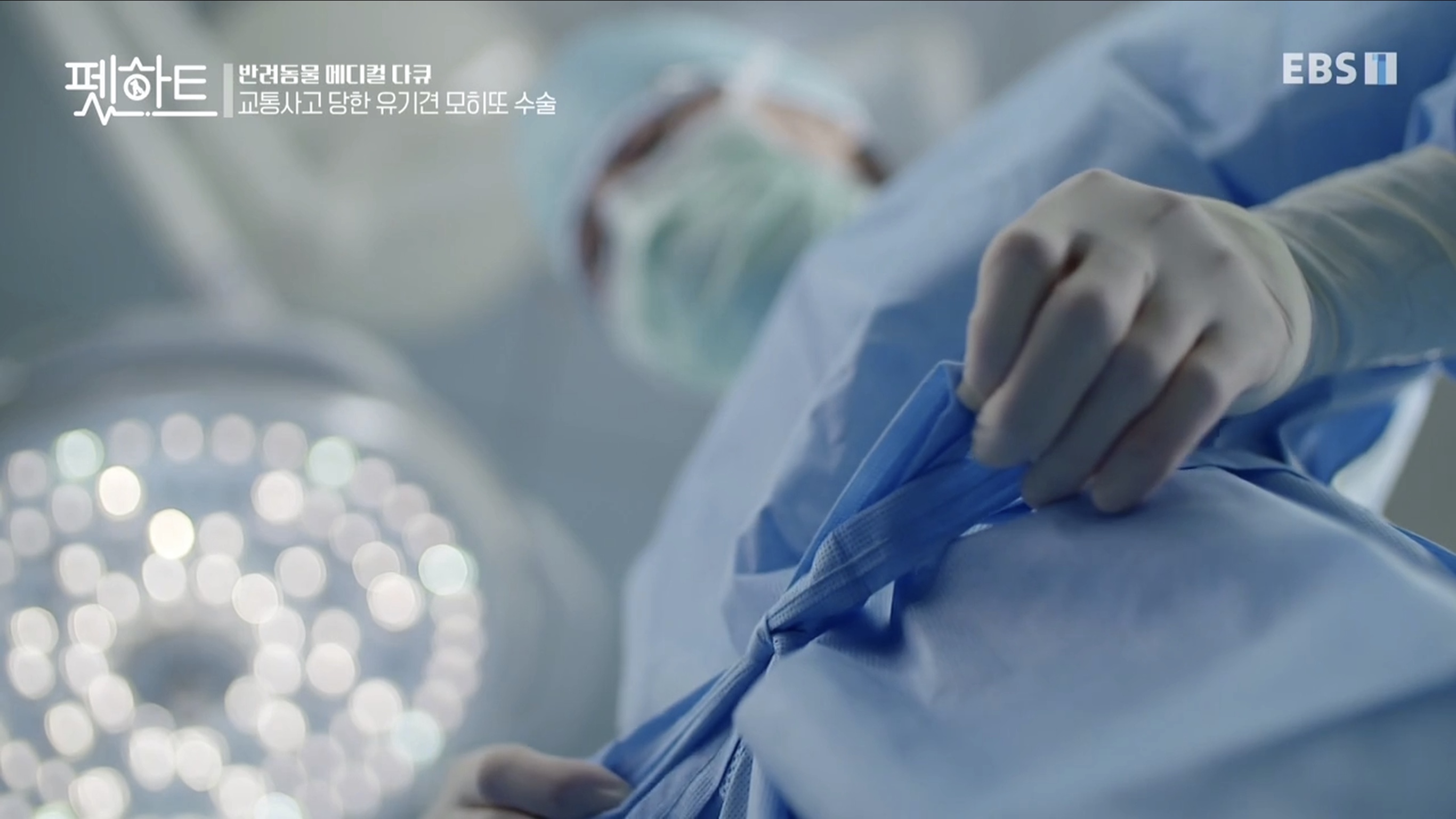 오아시스동물병원 대표 이미지