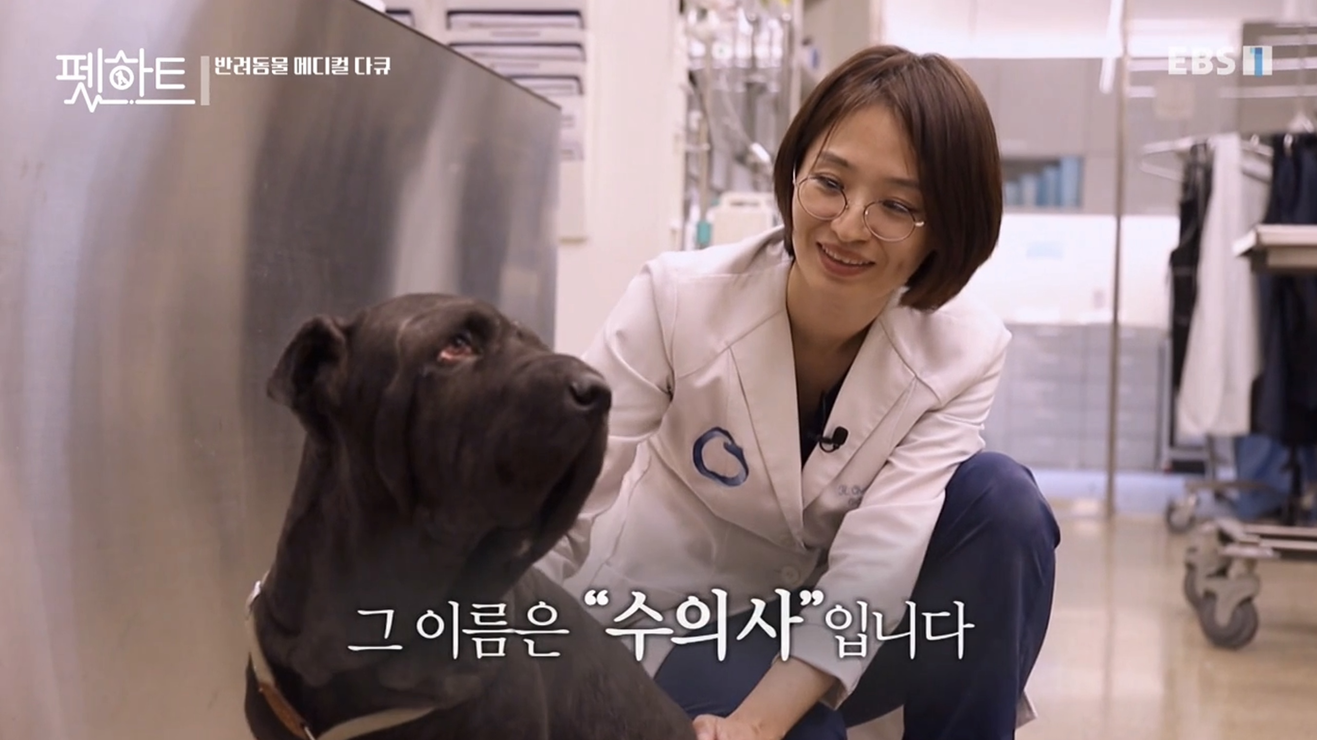 오아시스동물병원 대표 이미지