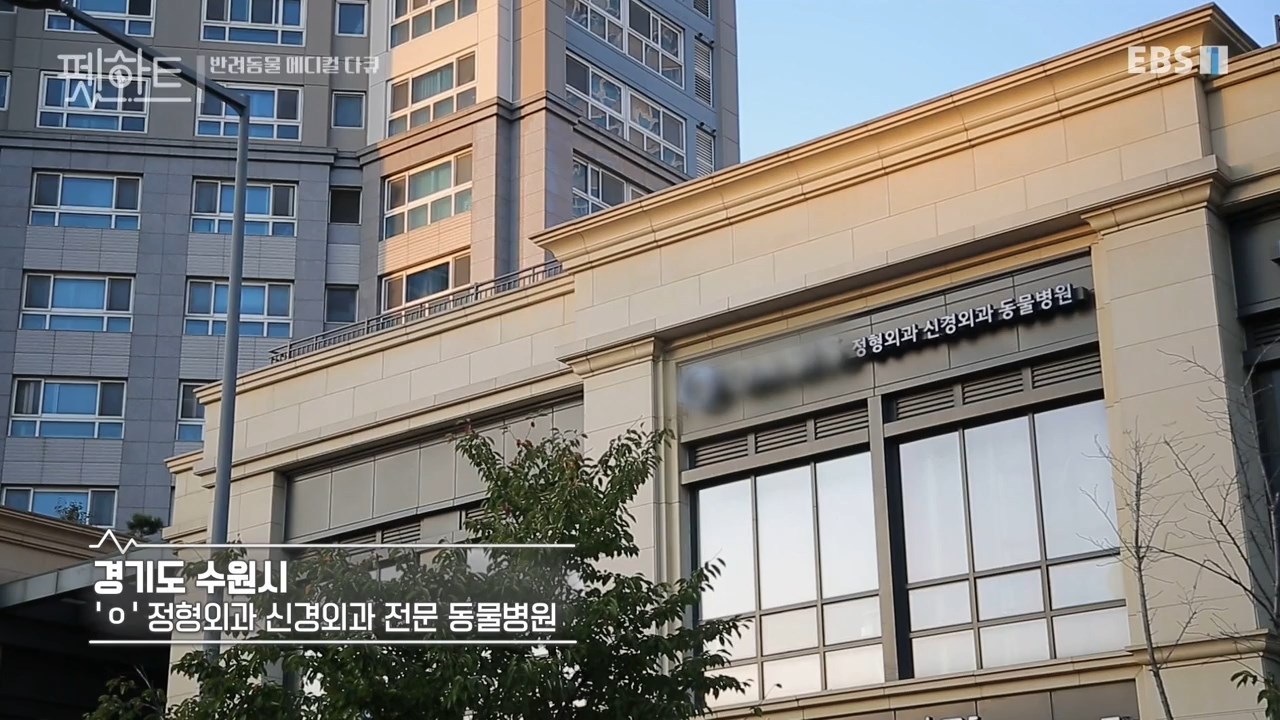 오아시스정형외과신경외과동물병원 대표 이미지