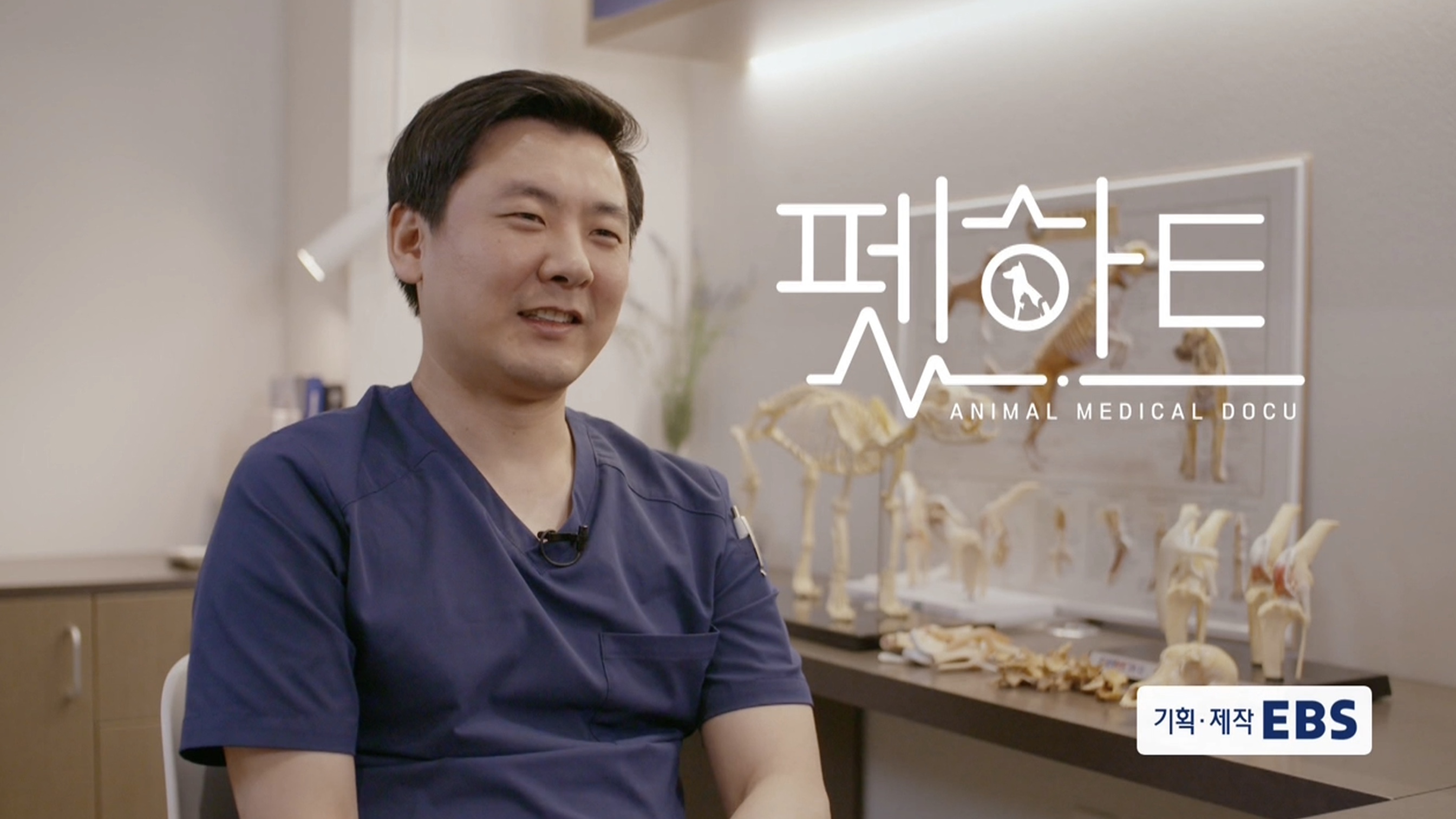 오아시스정형외과신경외과동물병원 대표 이미지